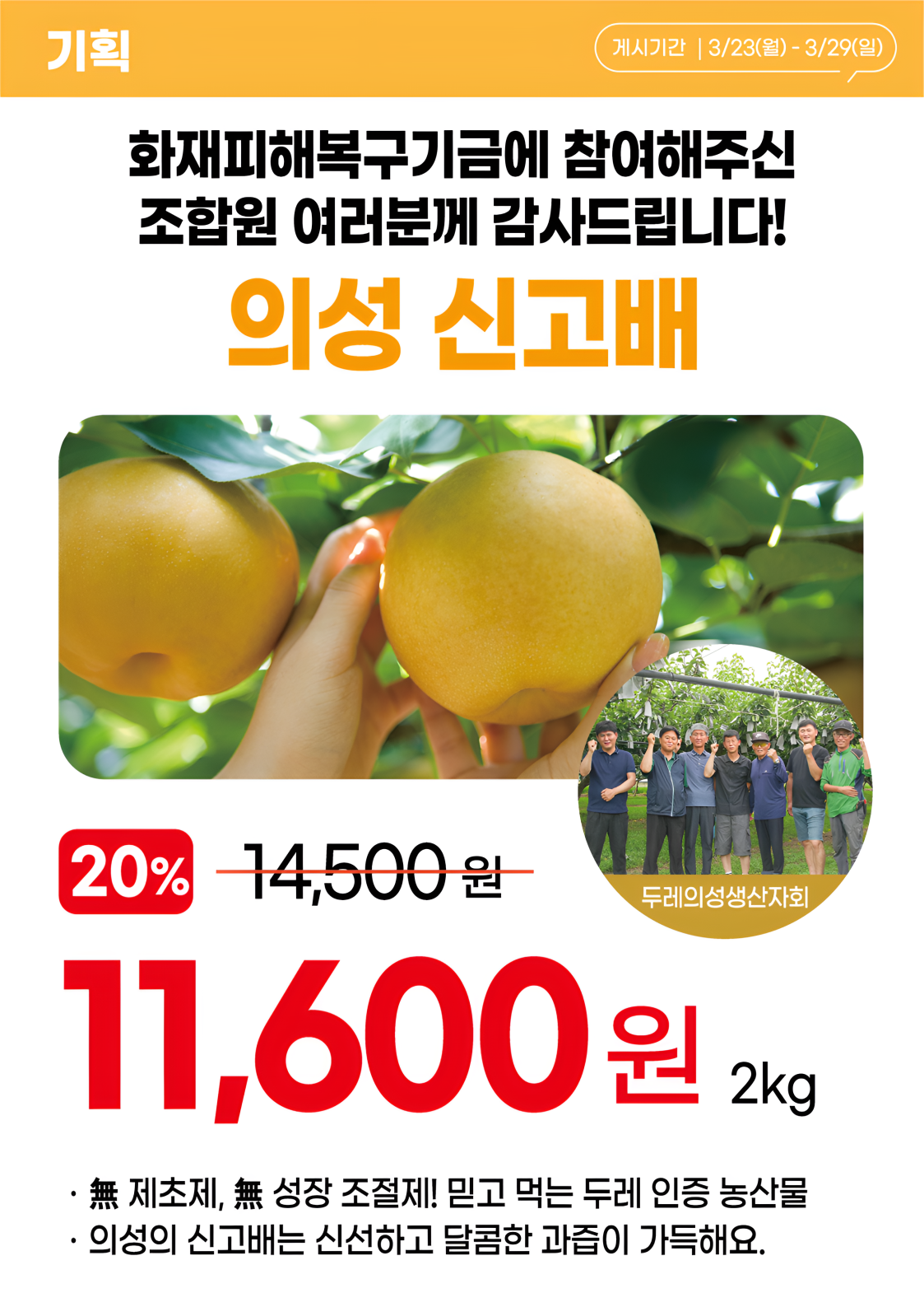 7bfc800c0962c.png