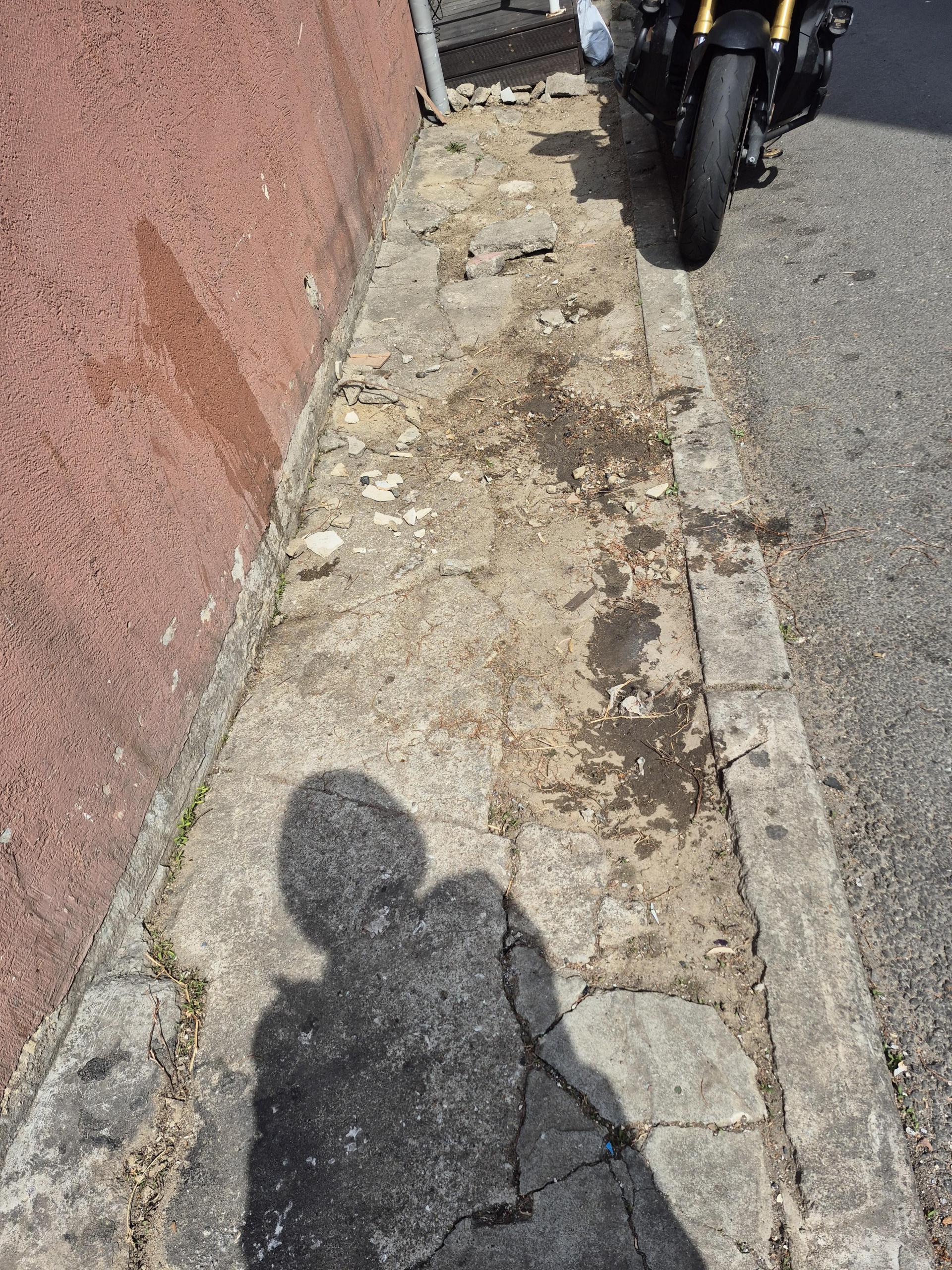 c925d30e3bbd6.jpg