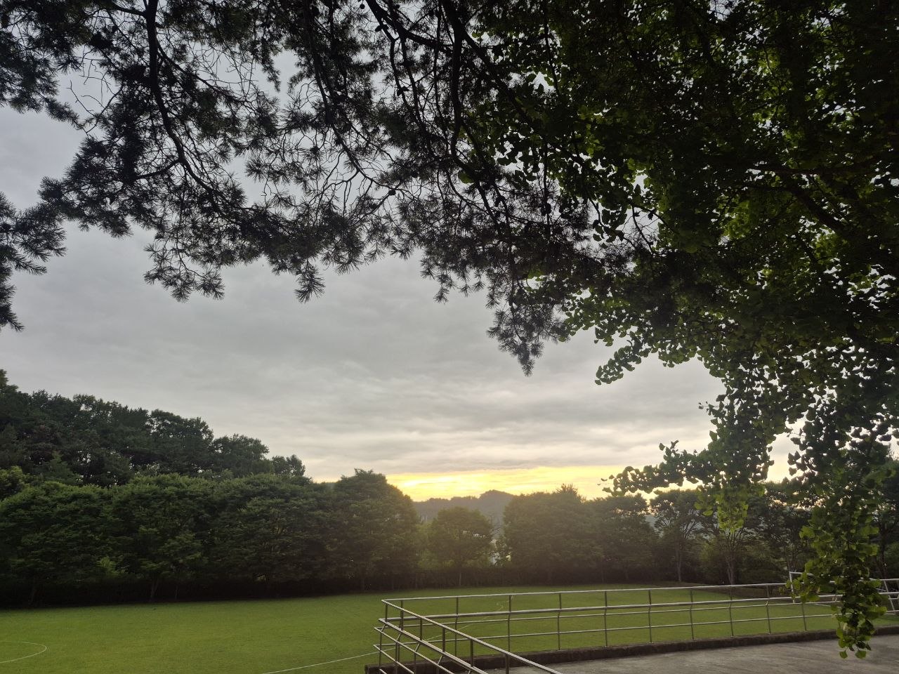 5b522c556c4d3.jpg
