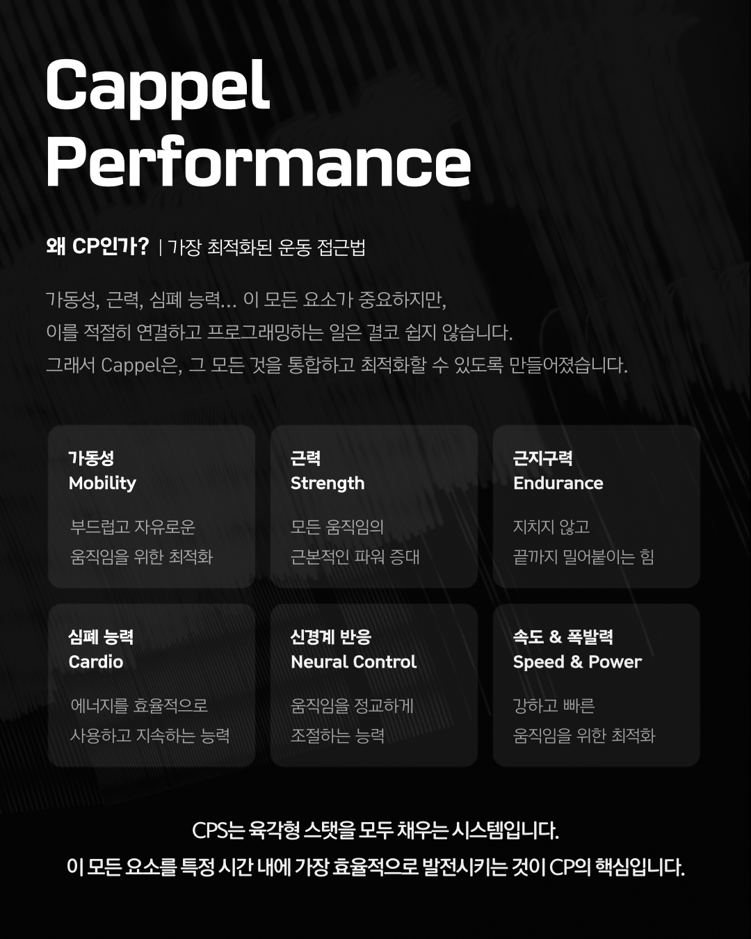 Cappel Performance: 고관절