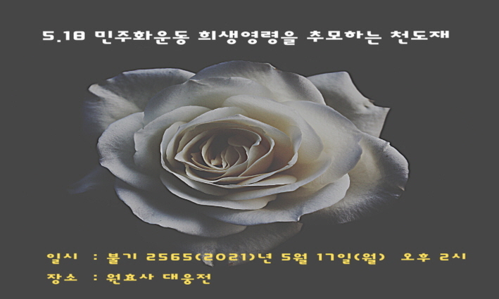 29a0c061fc3fd.jpg