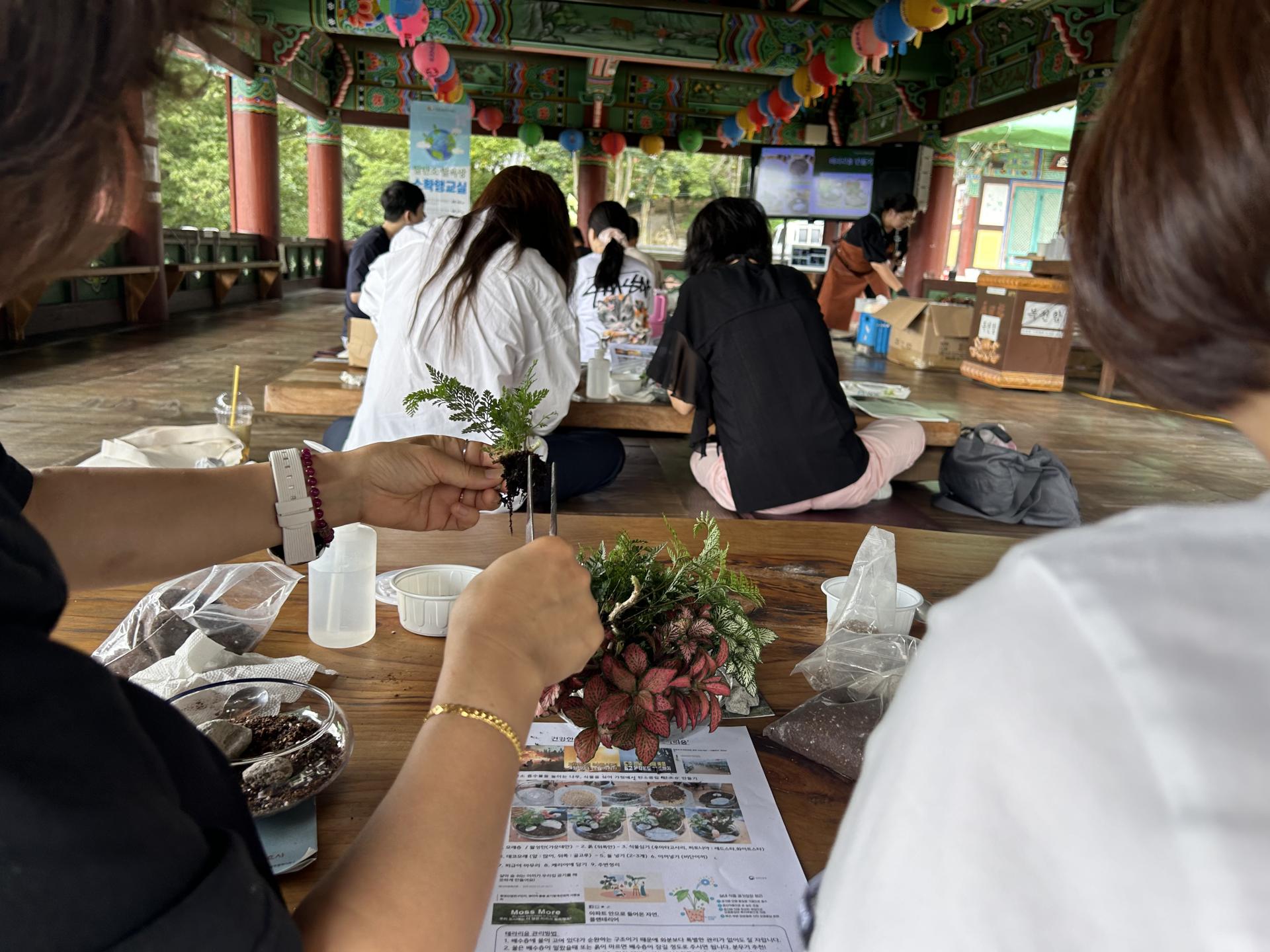 98a7905862a22.jpg