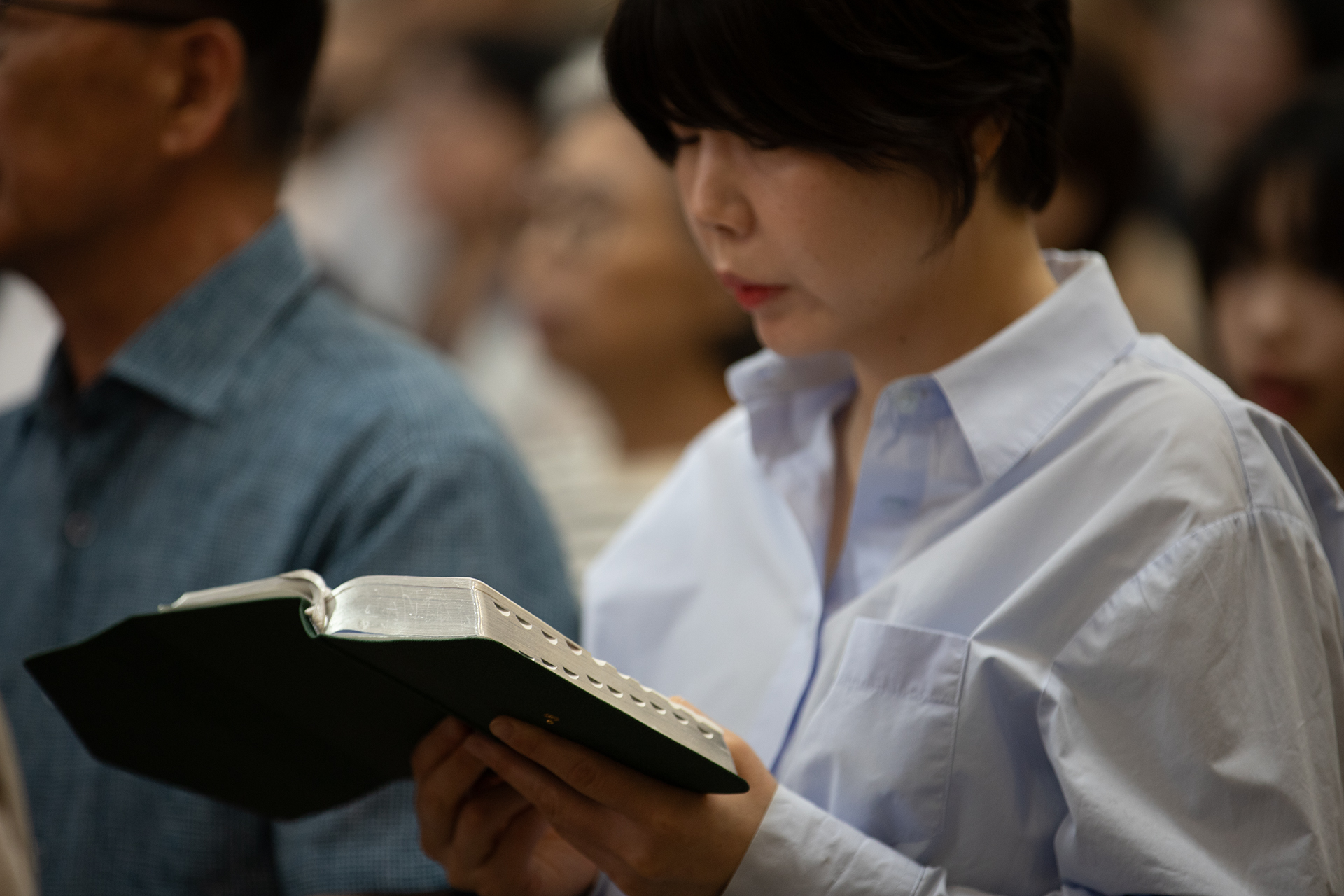 3a442ac95975c.jpg