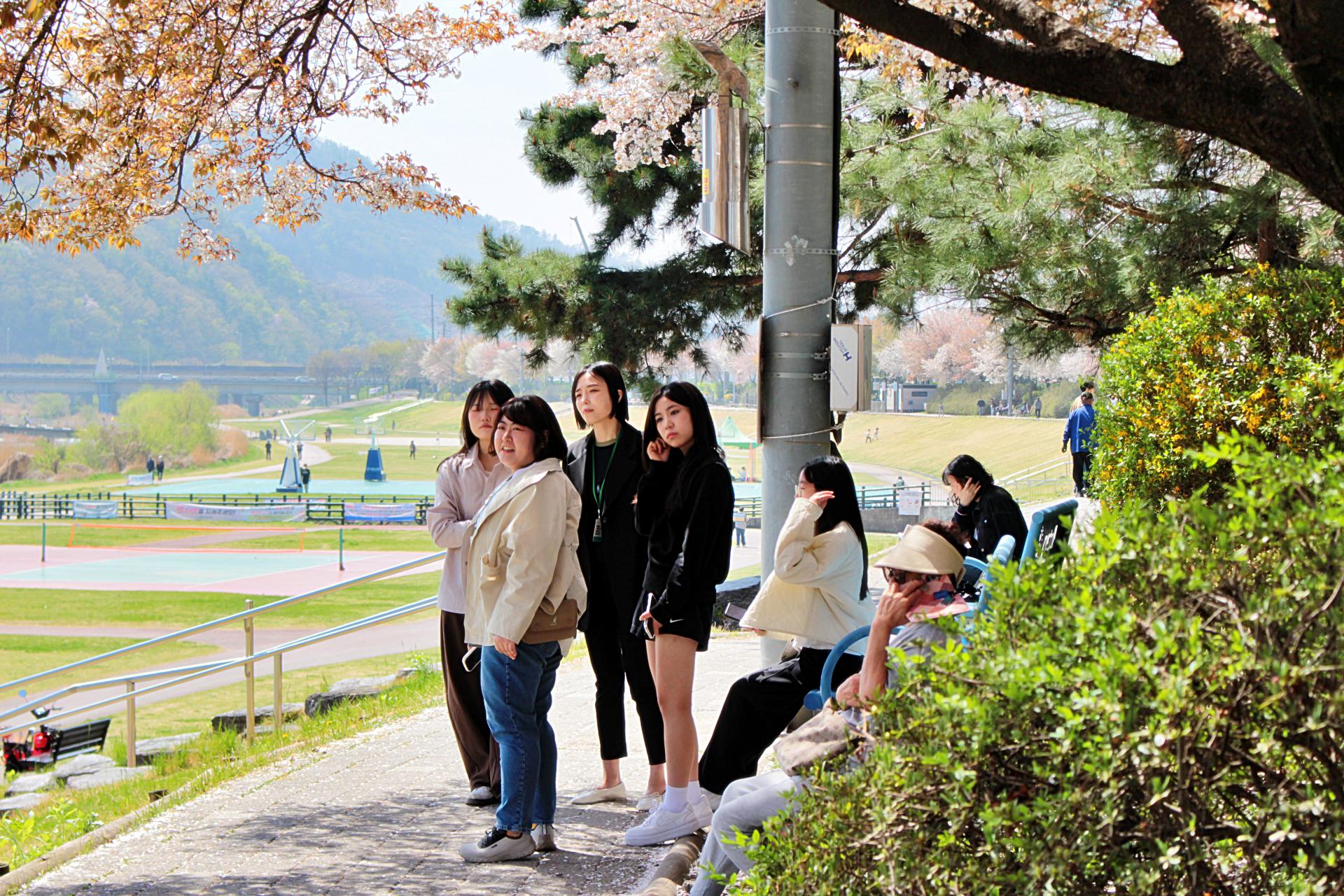 a38916a555d30.jpg