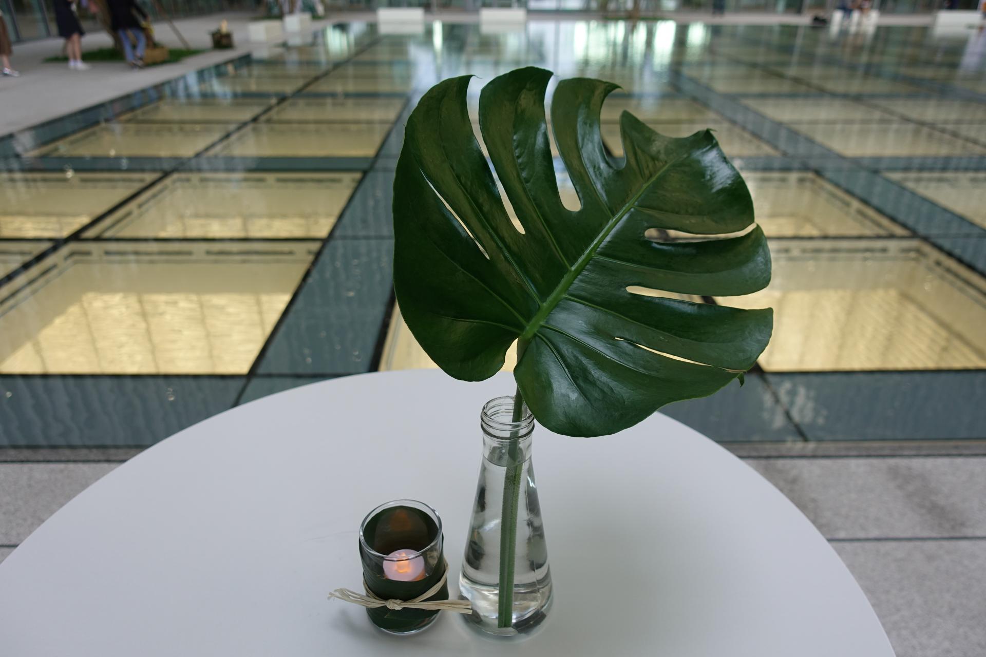c380c0652c334.jpg
