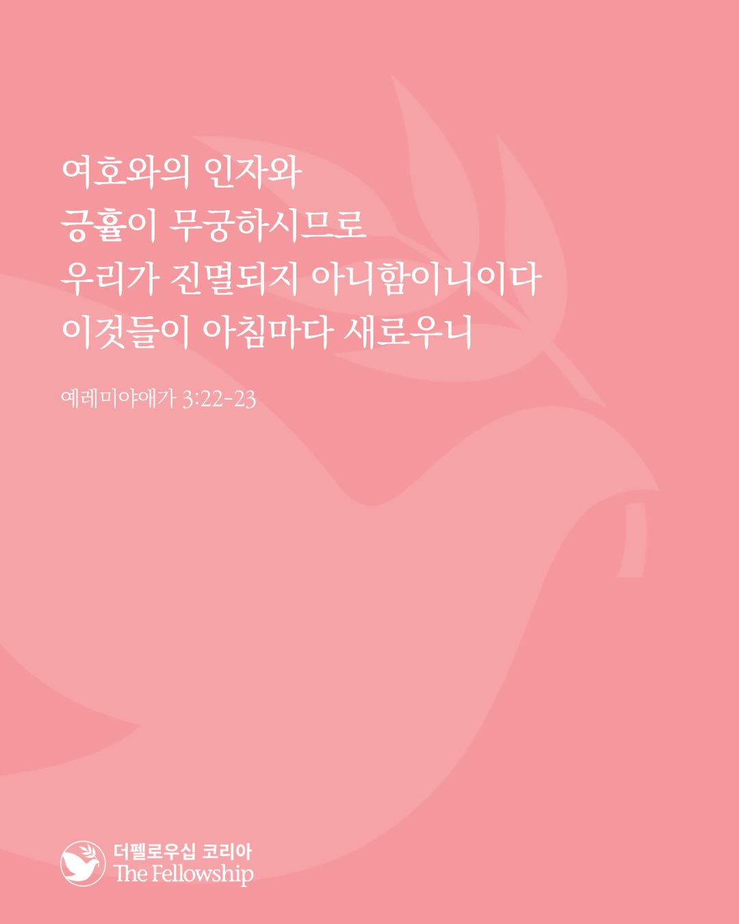 0c4e804bef012.jpg