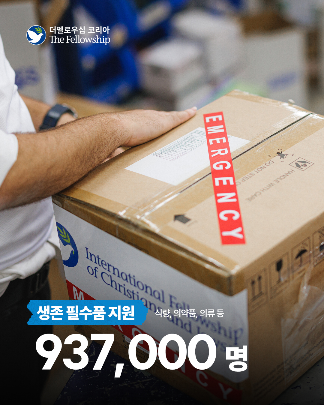 4e70b428292be.jpg