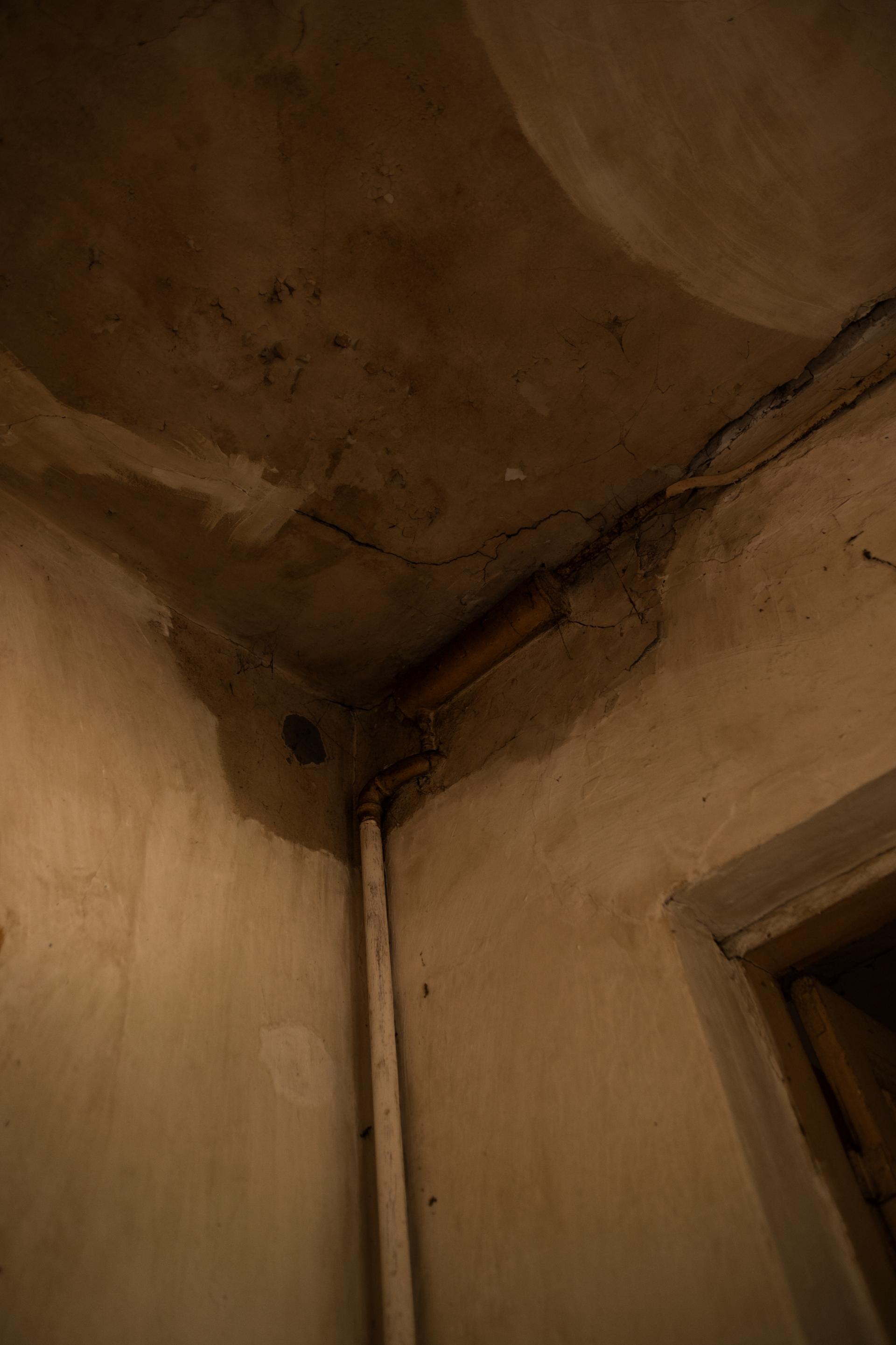 STORY CAN Olena Neishtab - JDC_24_14812166.jpg