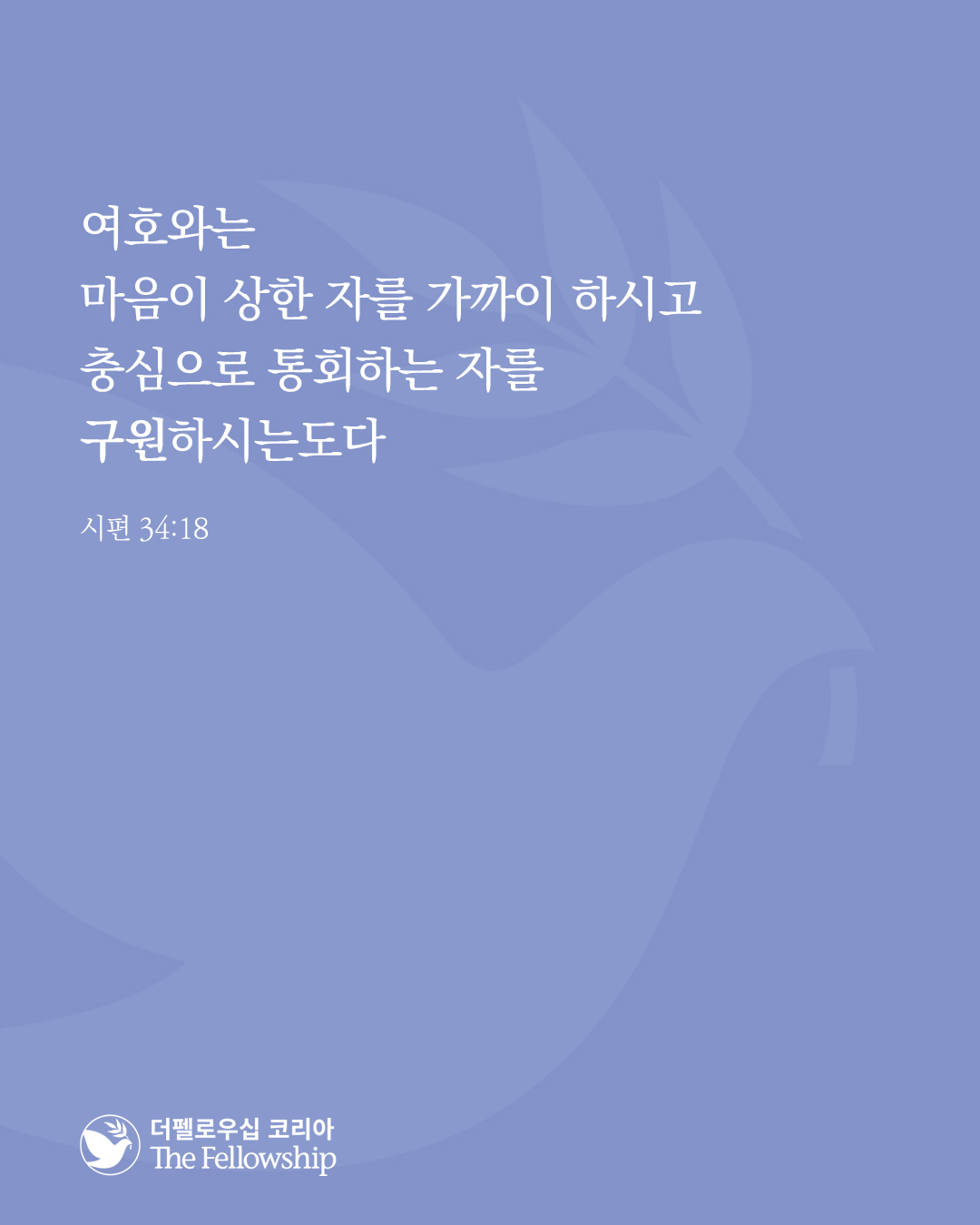 e95e988c2fd36.jpg