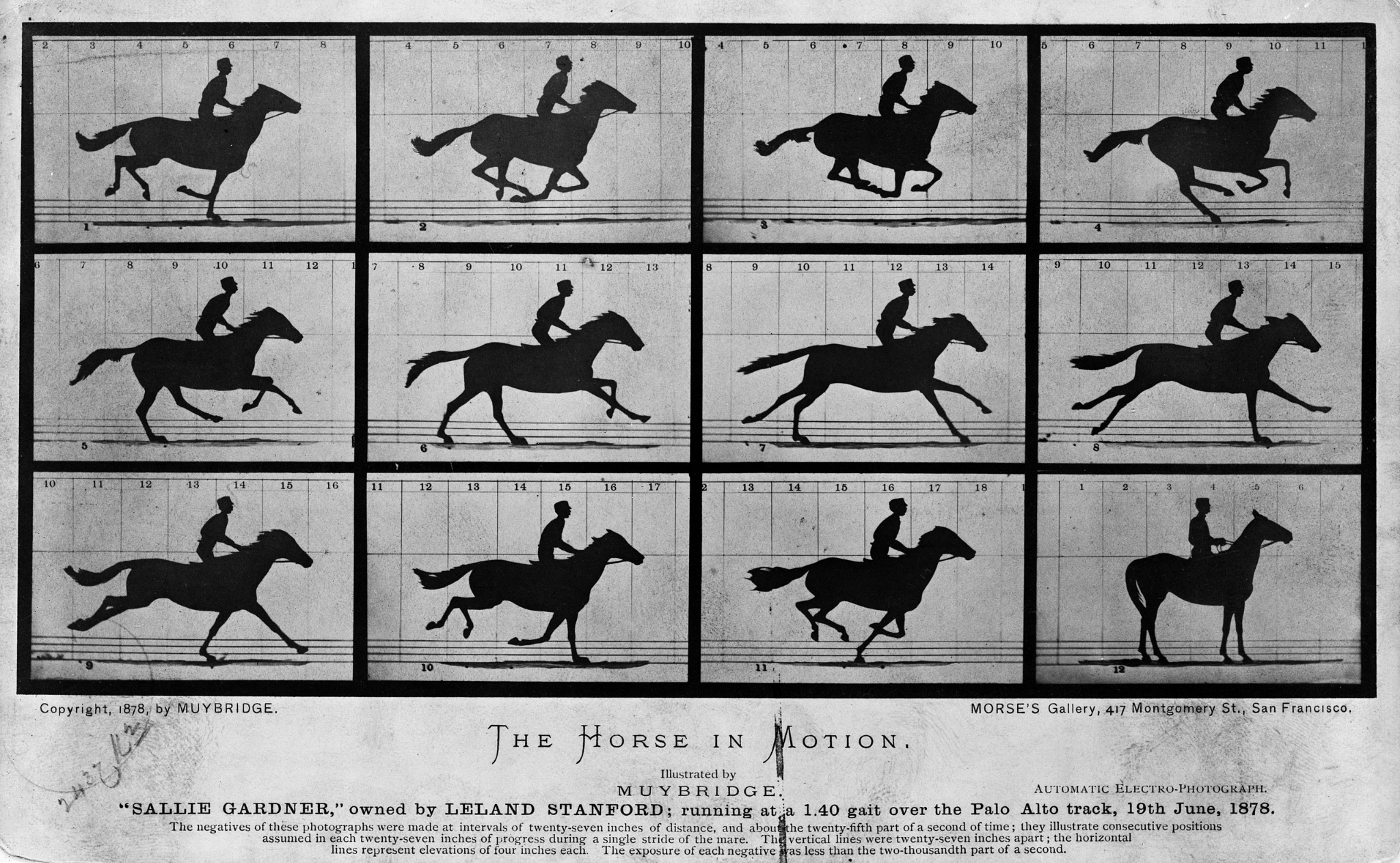 Eadweard Muybridge, Horse in Motion, 1878