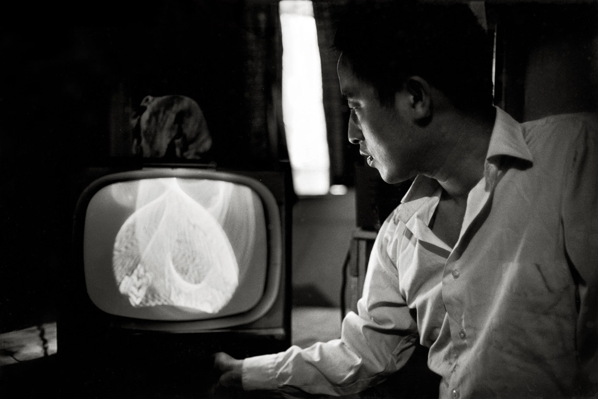 Courtesy of Nam June Paik Art Center Ⓒ Estate of Peter Moore / VAGA, New York