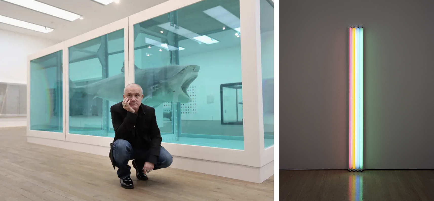 Damien Hirst, the physical impossibility of death in the mind of someone living (1991) / Dan Flavin © Artsy