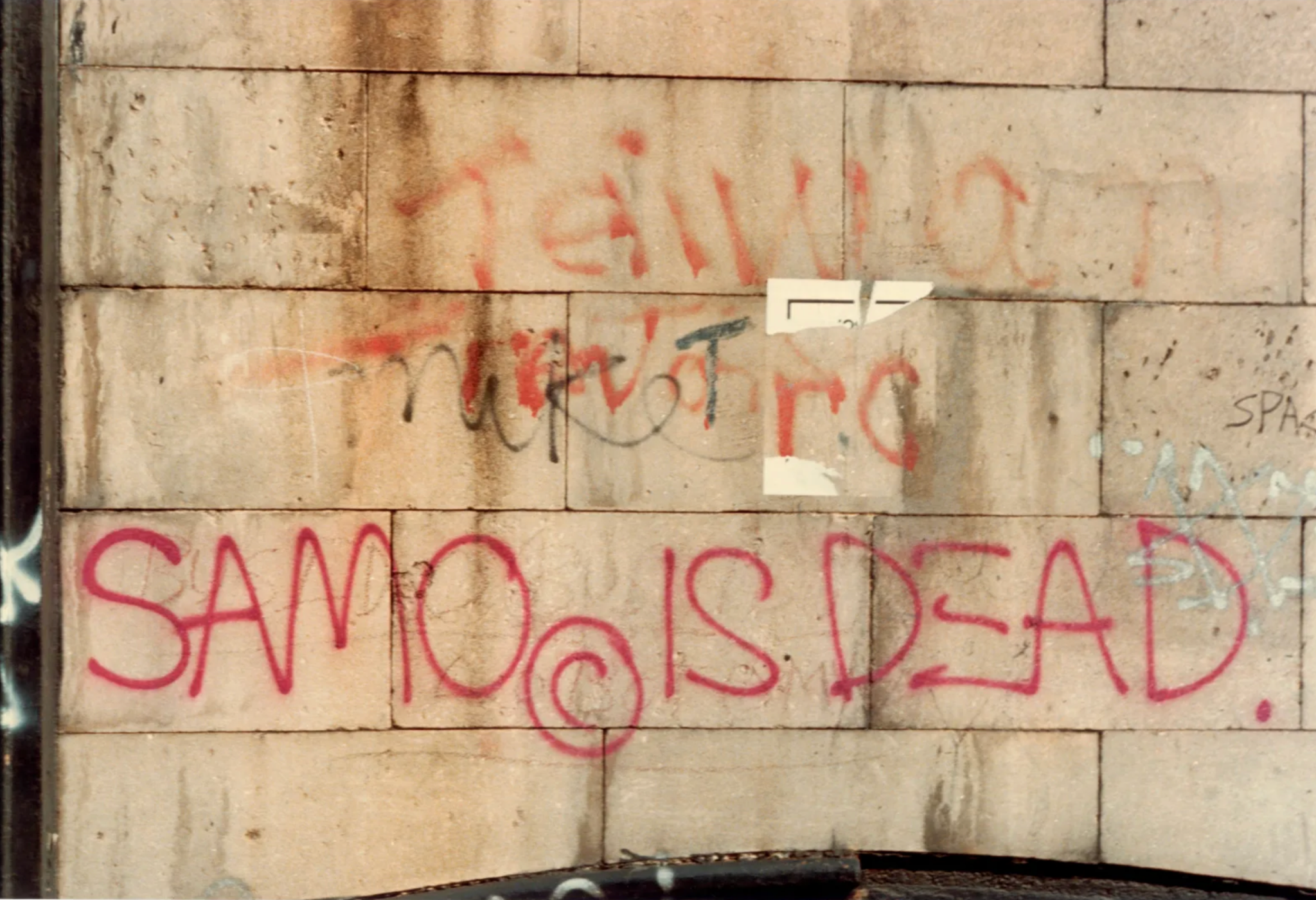 세이모의 그라피티