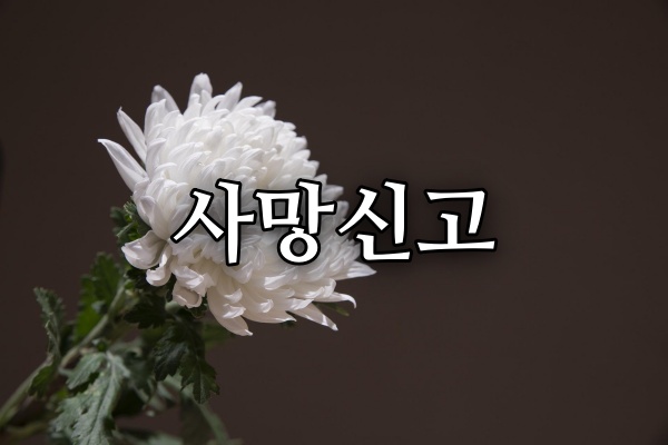 8e390b6498550.jpg