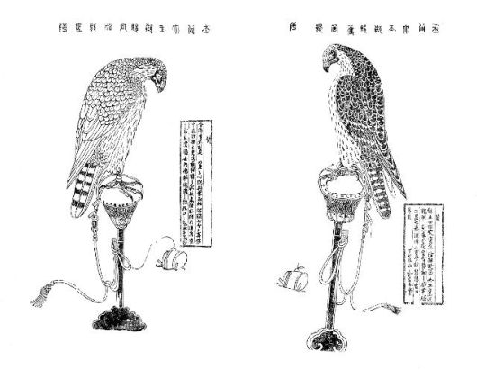 c9638f9f16a81.jpg