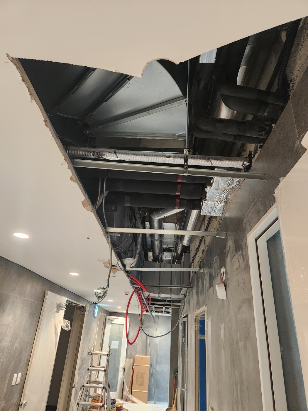 acce10bb7b127.jpg