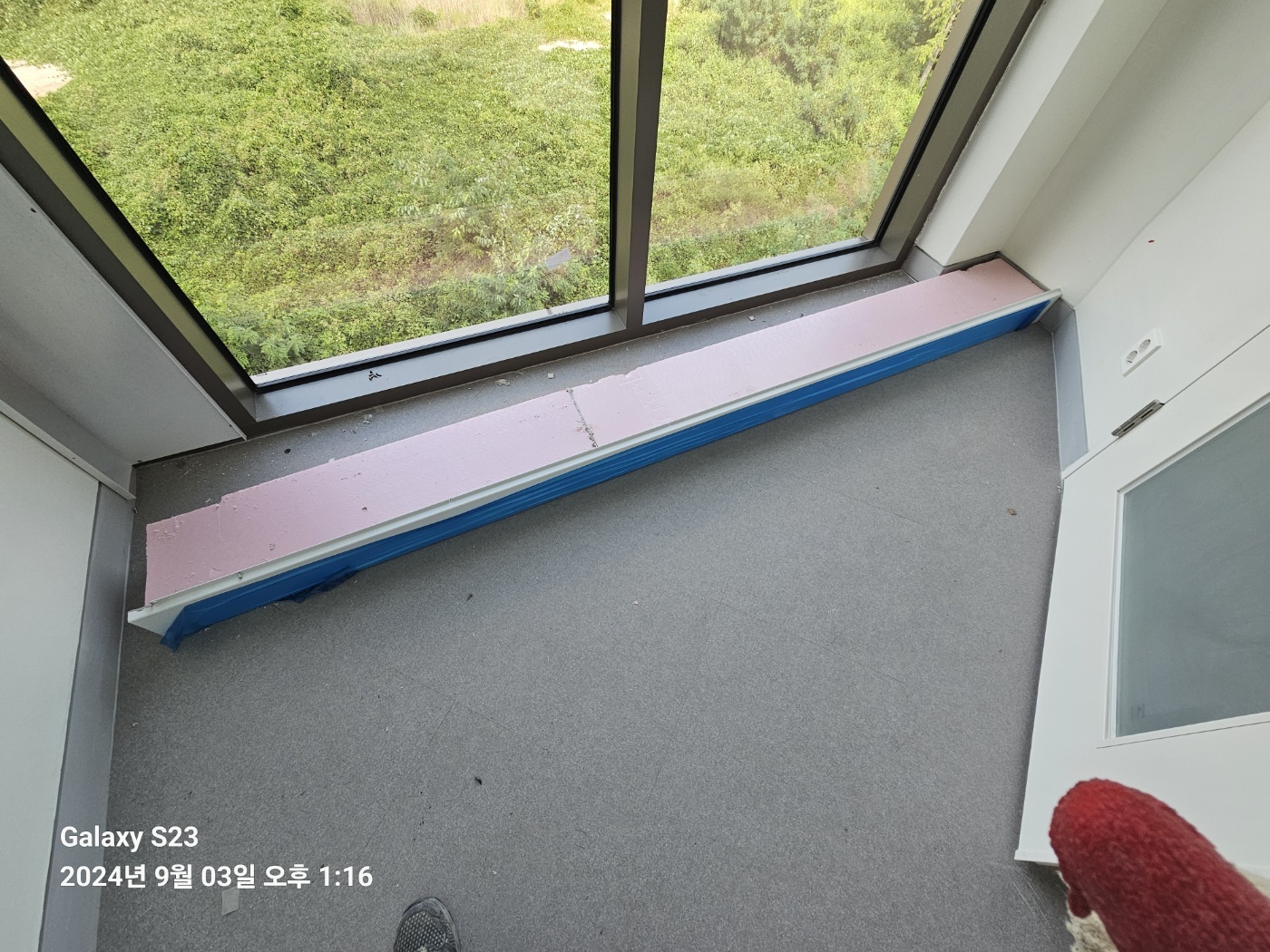 b8c931ef612a5.jpg