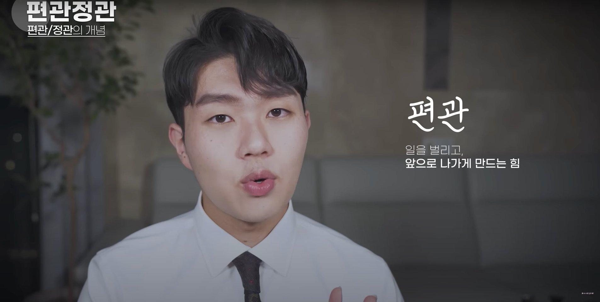 편관 정관
