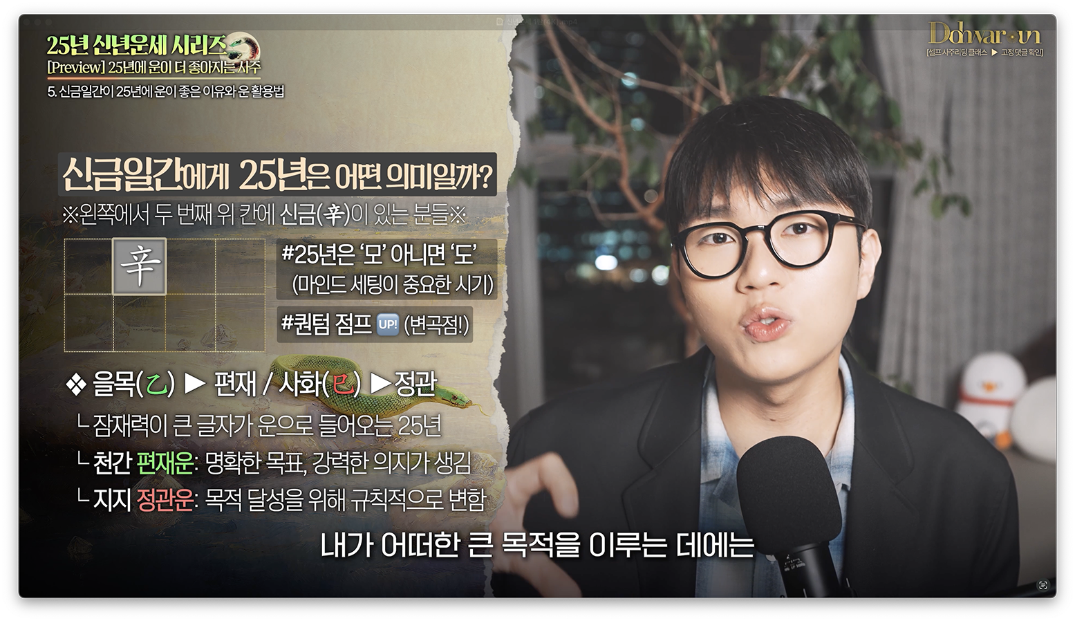 25년 신금일간 운세