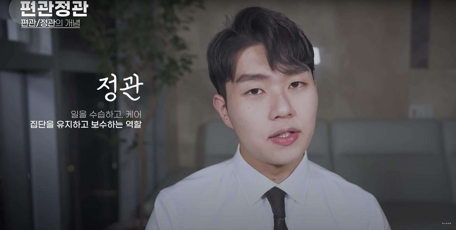 편관 정관