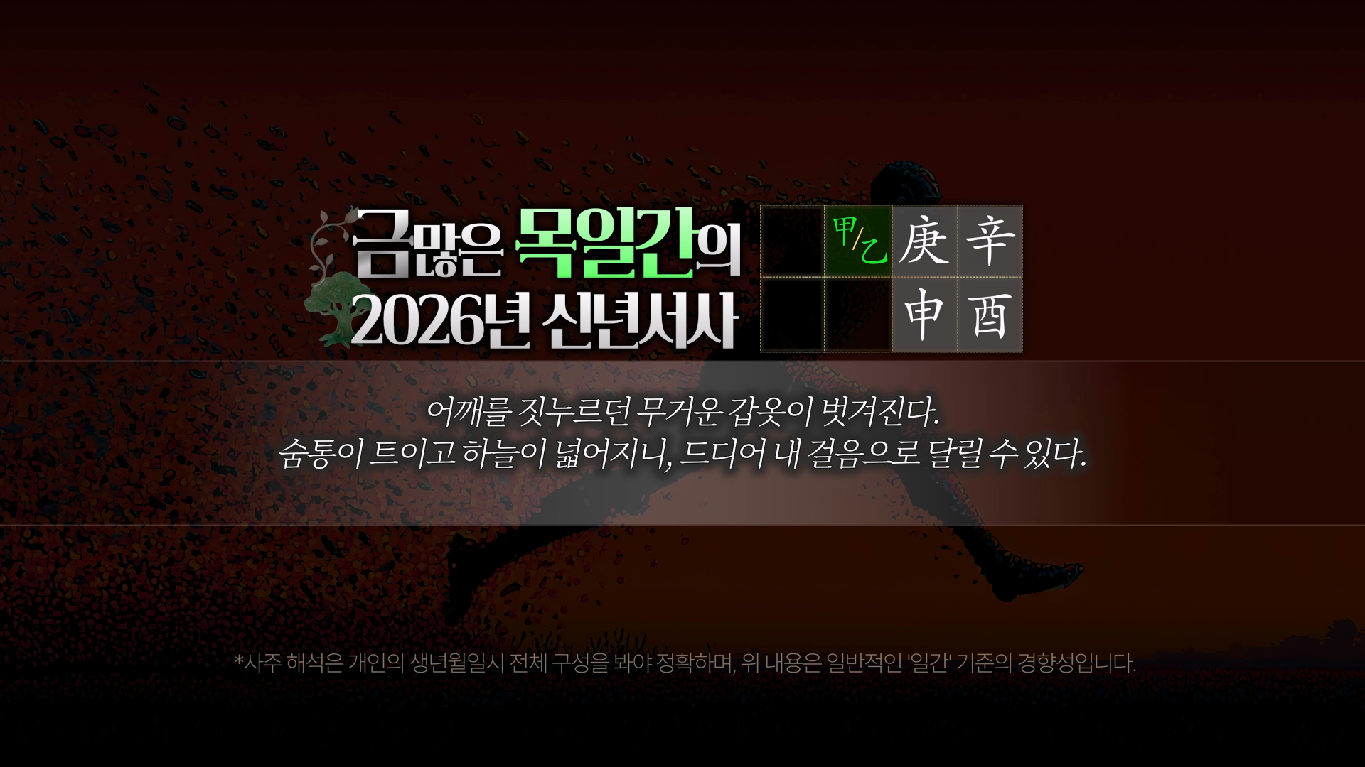 금 많은 사주 일간별 2026 병오년 운세 요약