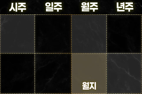 수가 많은 사주