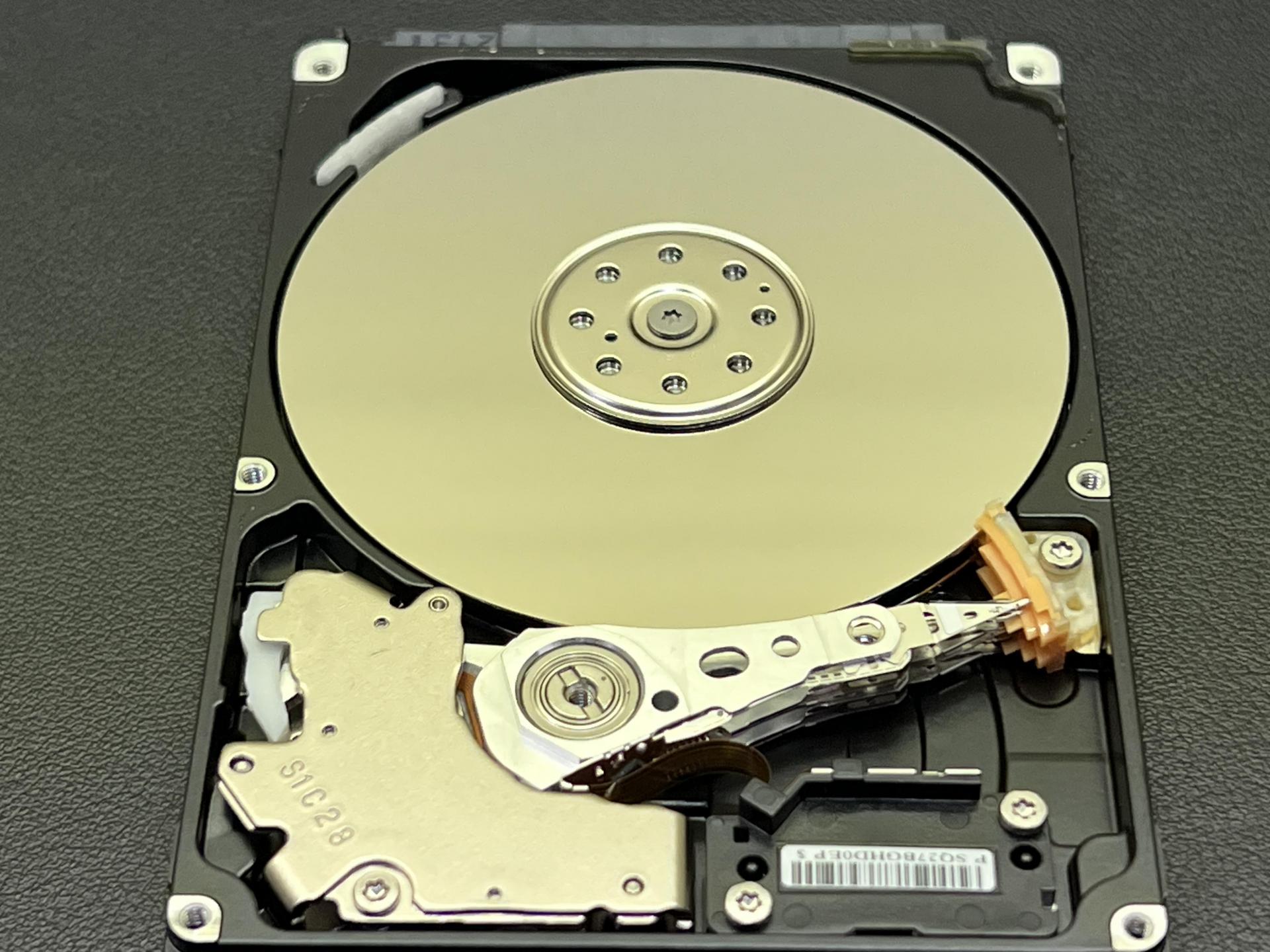 92ca82efd0504.jpg
