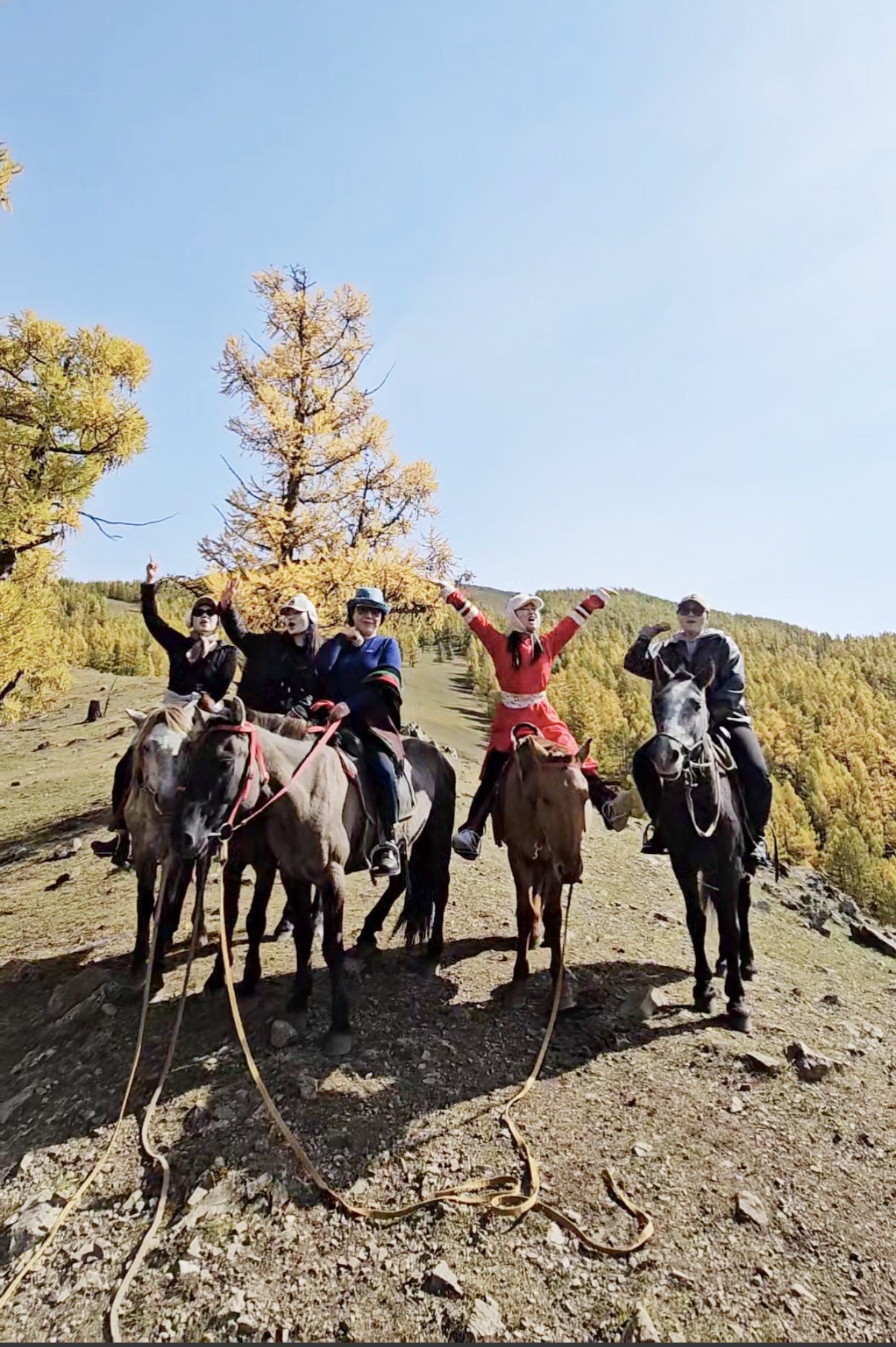 c68b6c1280b68.jpg