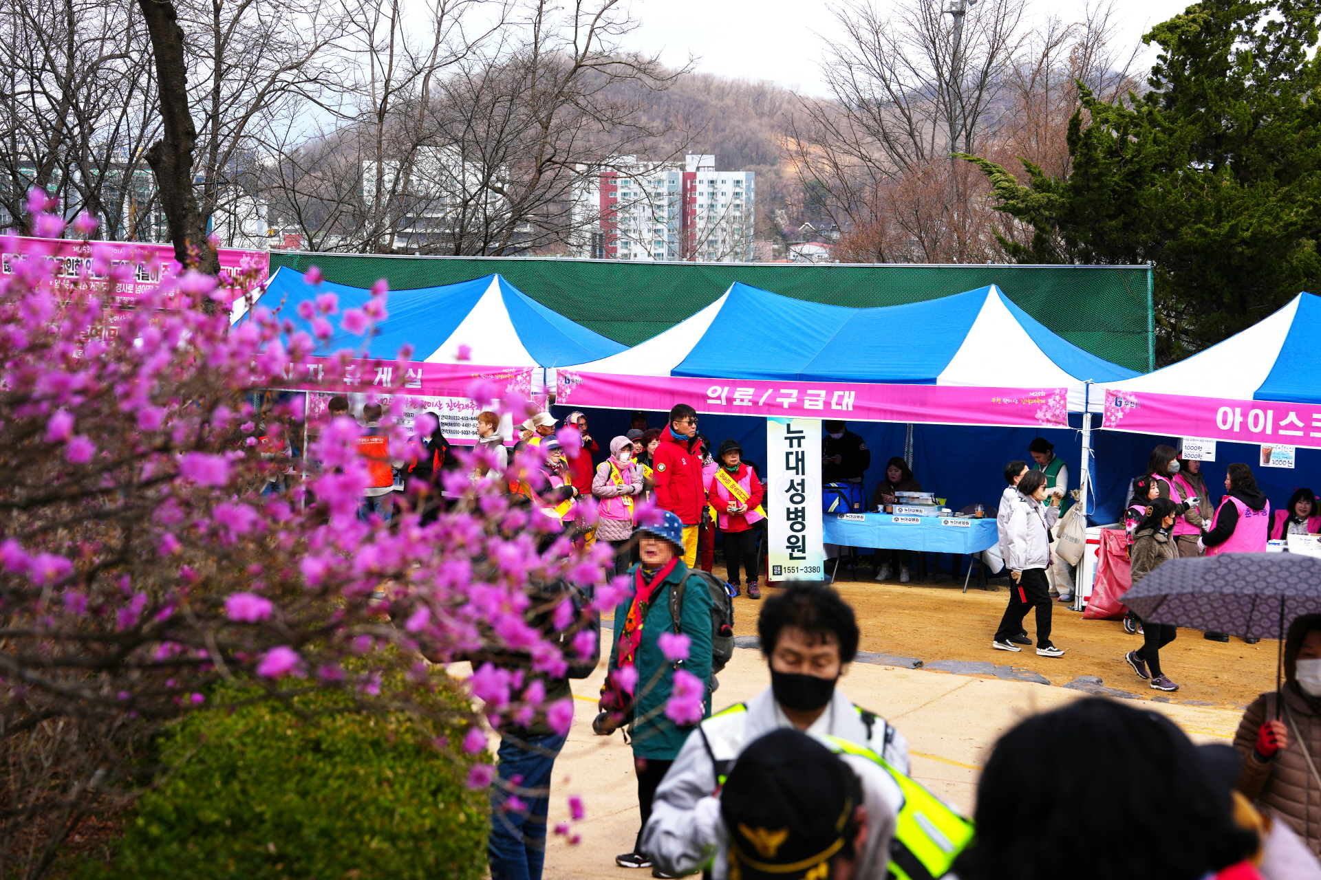 진달래 꽃 축제 의료지원
