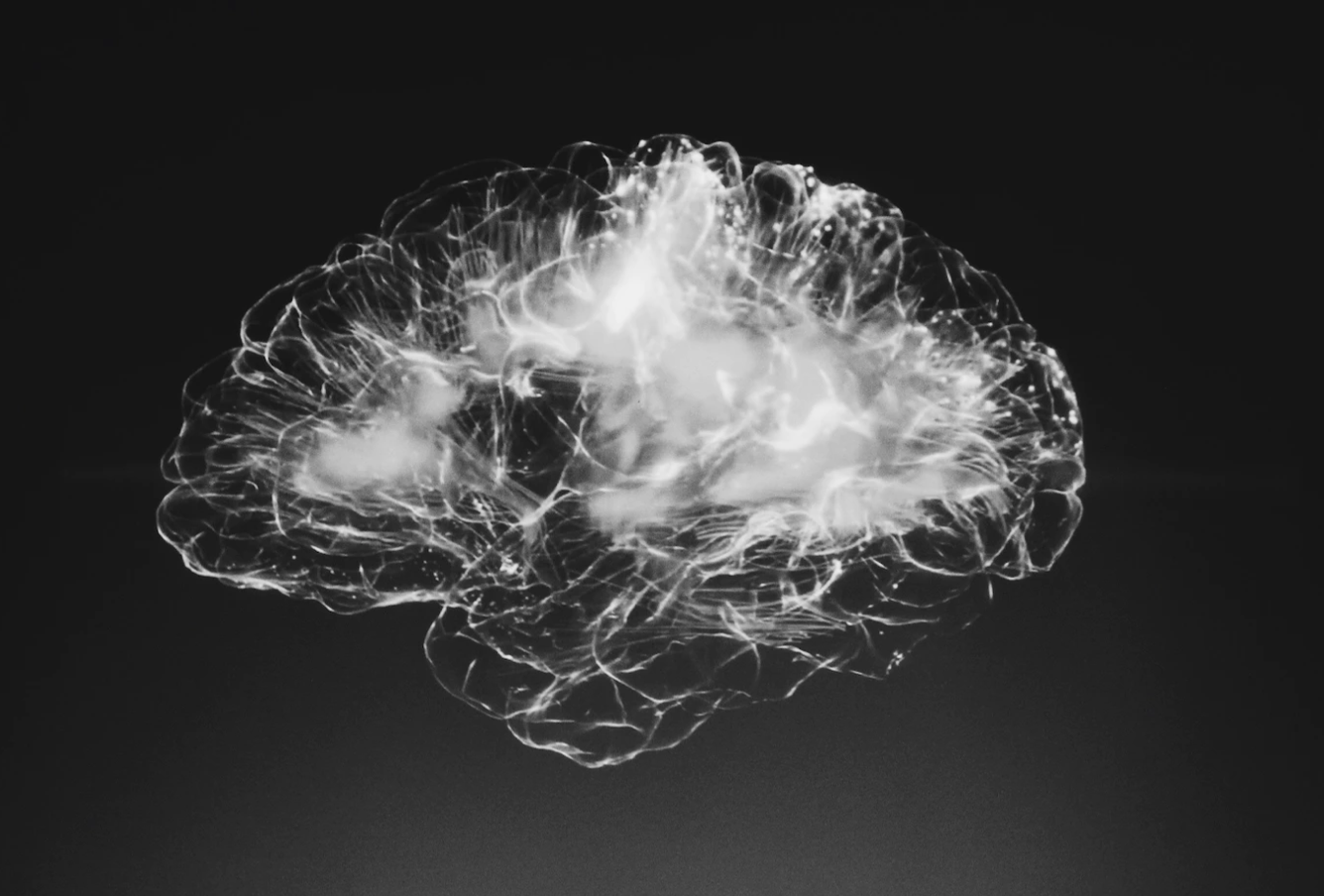 18. tDCS '뇌가소성' 활성화 (Neuroplasticity)