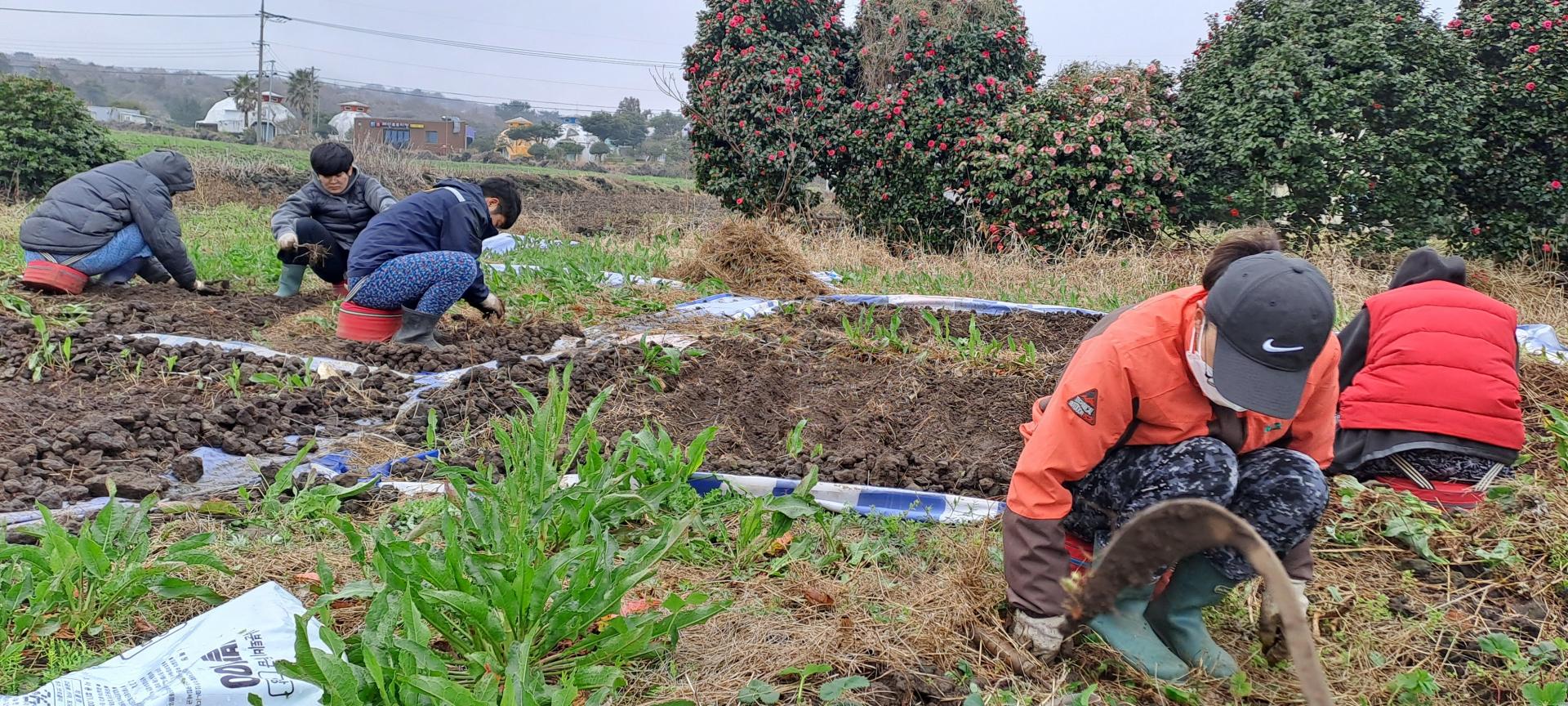 06a5ed04085fe.jpg