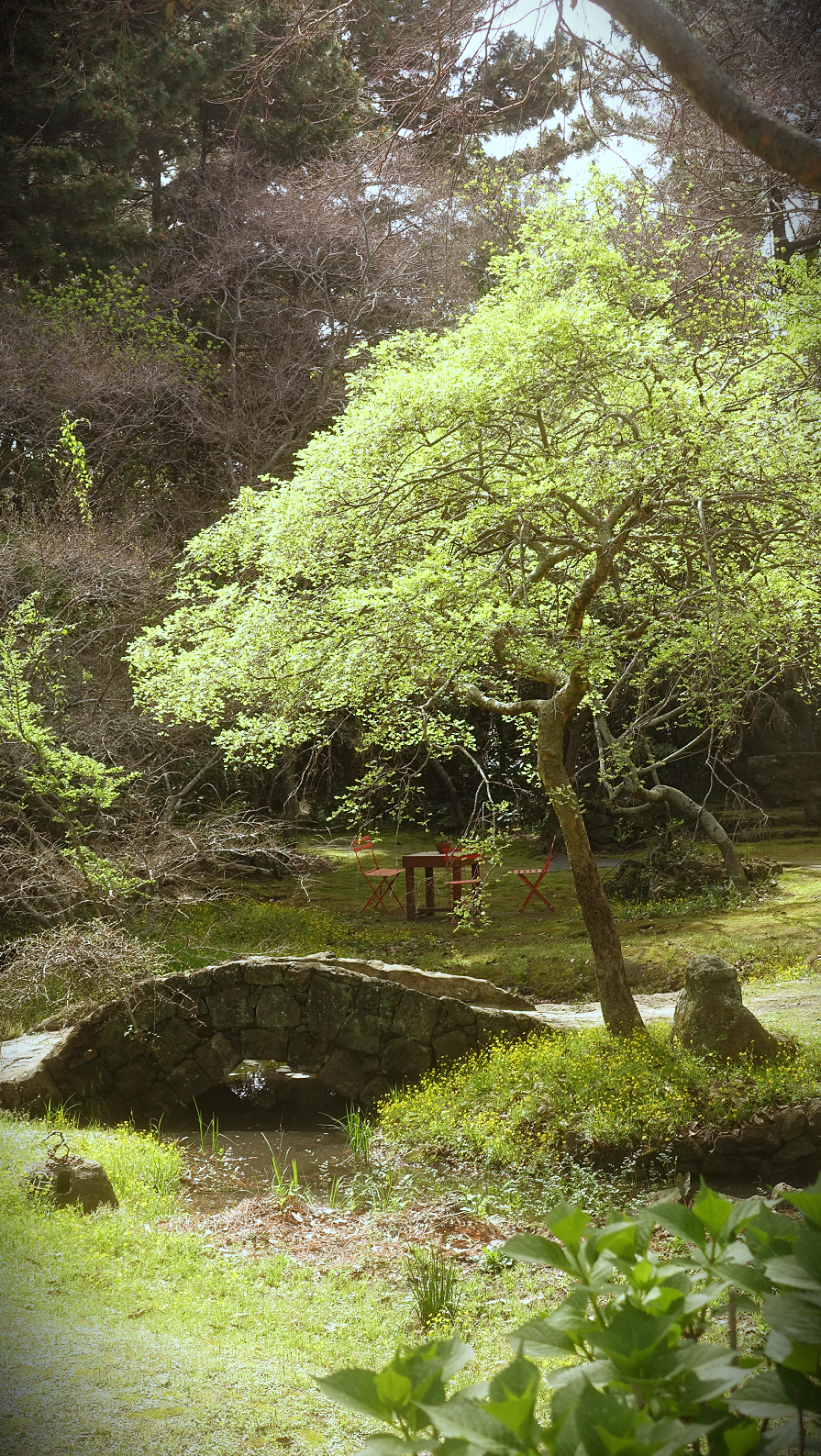 118b22d247490.png