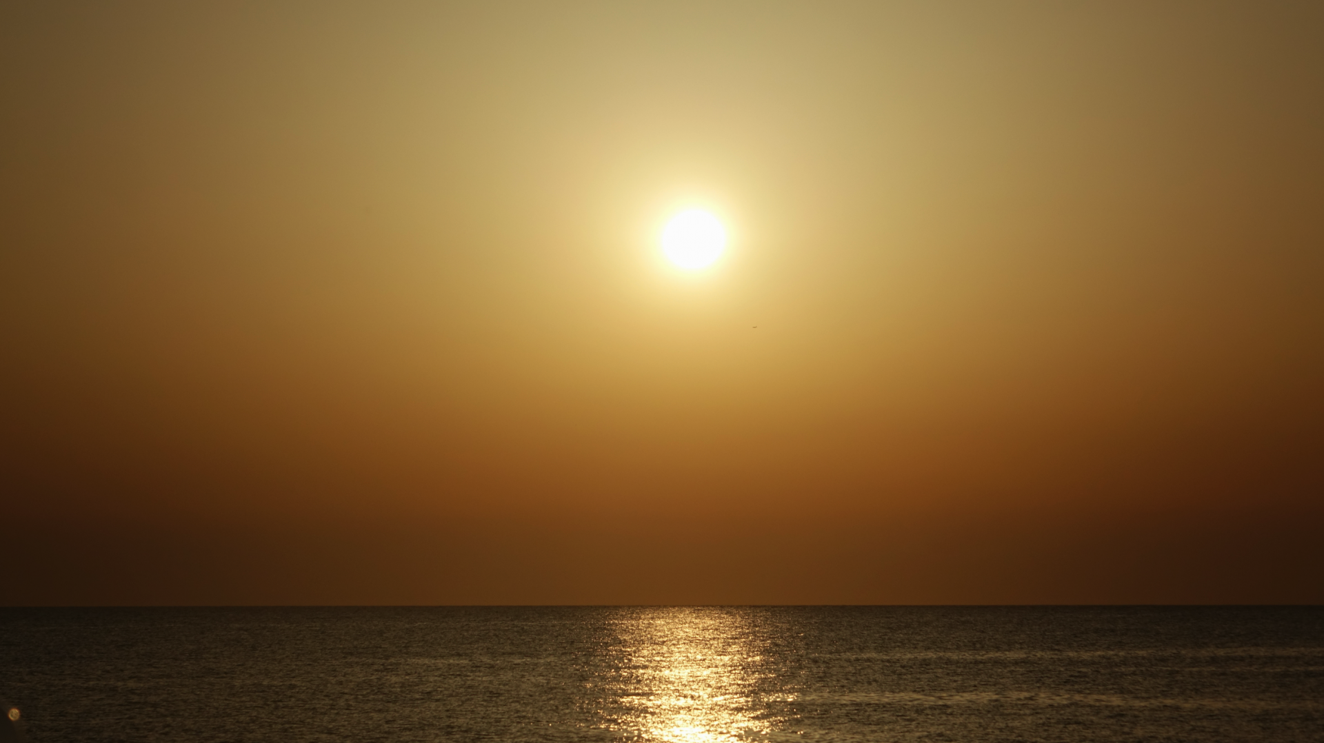 30fc946f8e6f0.png