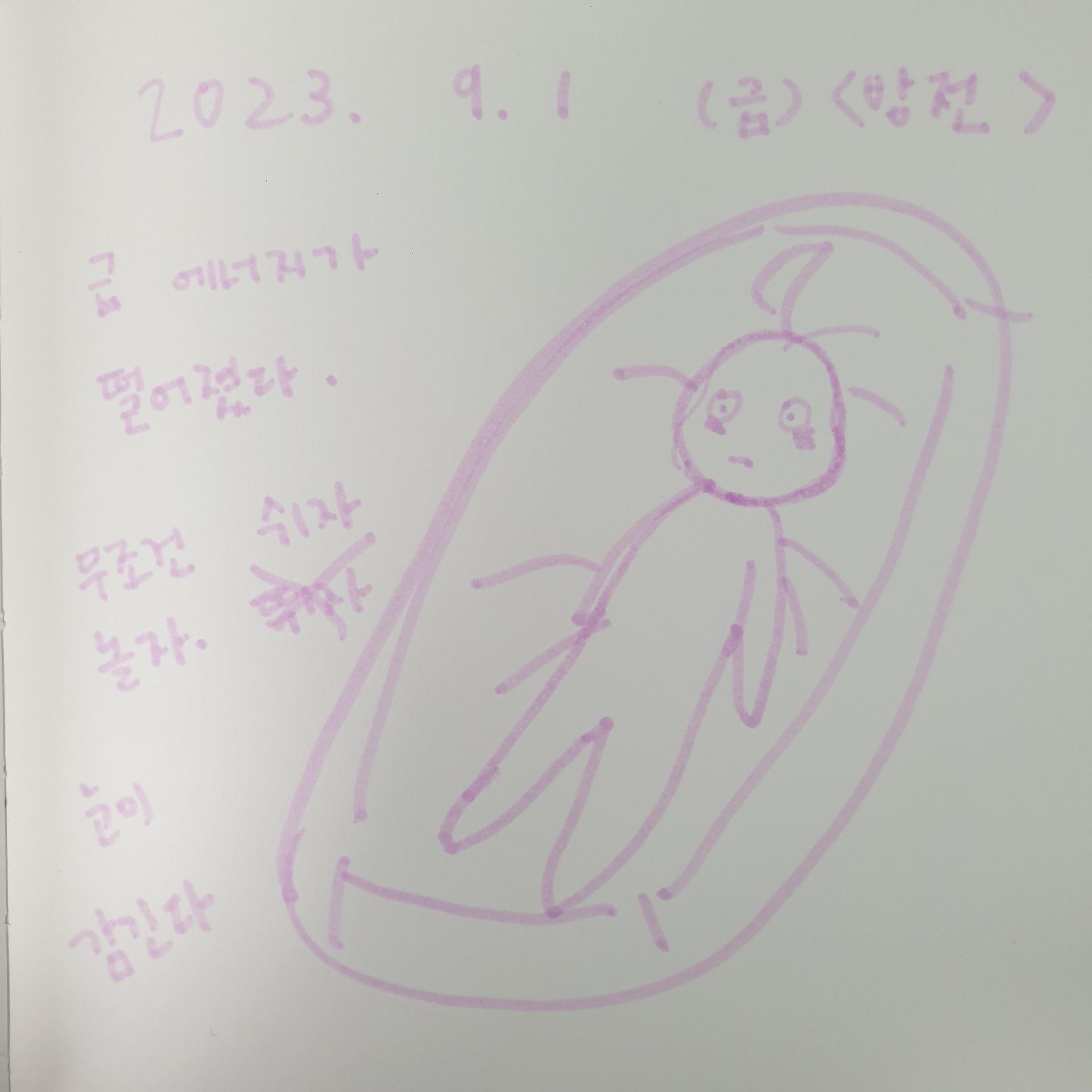34393f04472f5.jpg