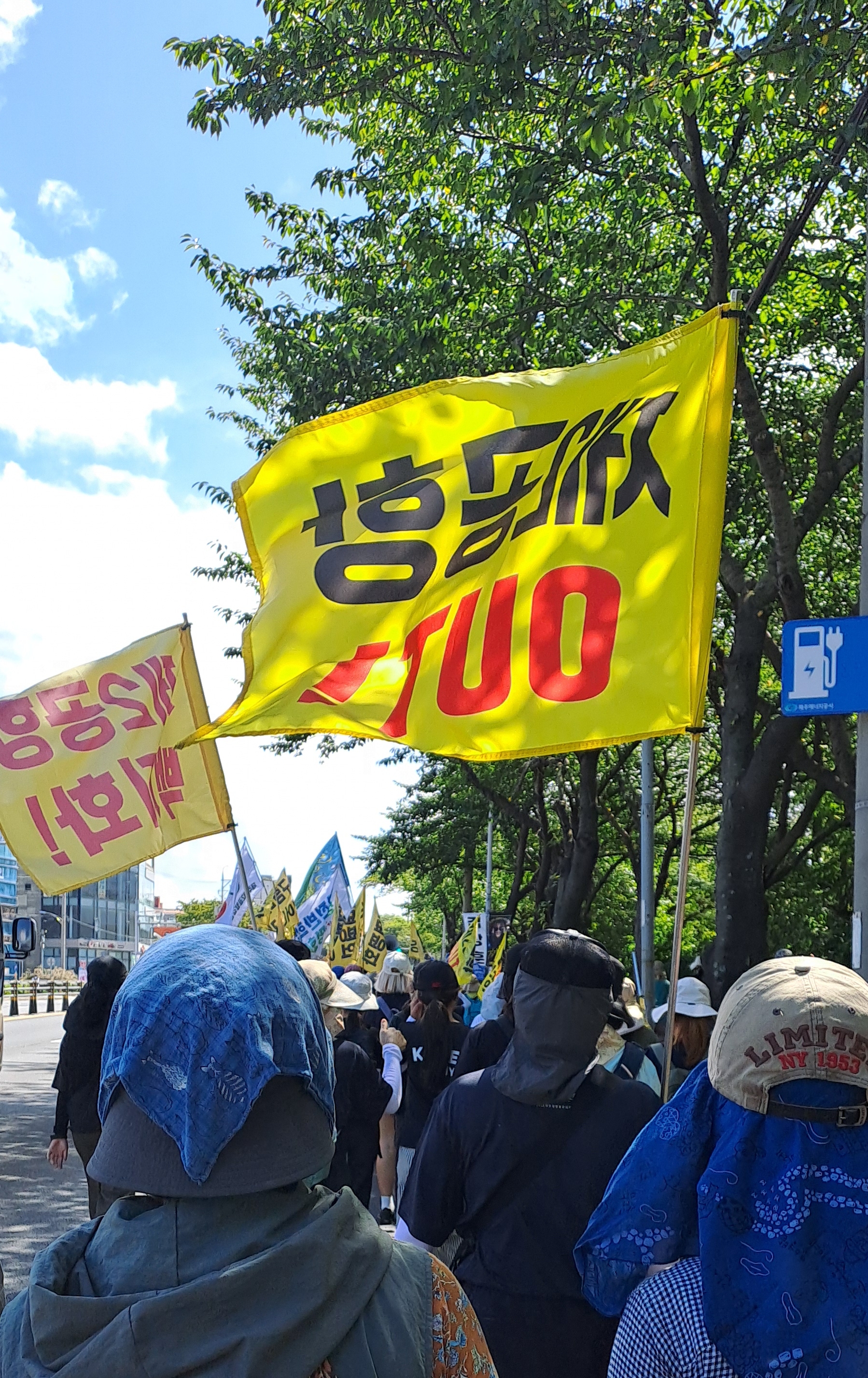 4cd3e7c5167a6.jpg