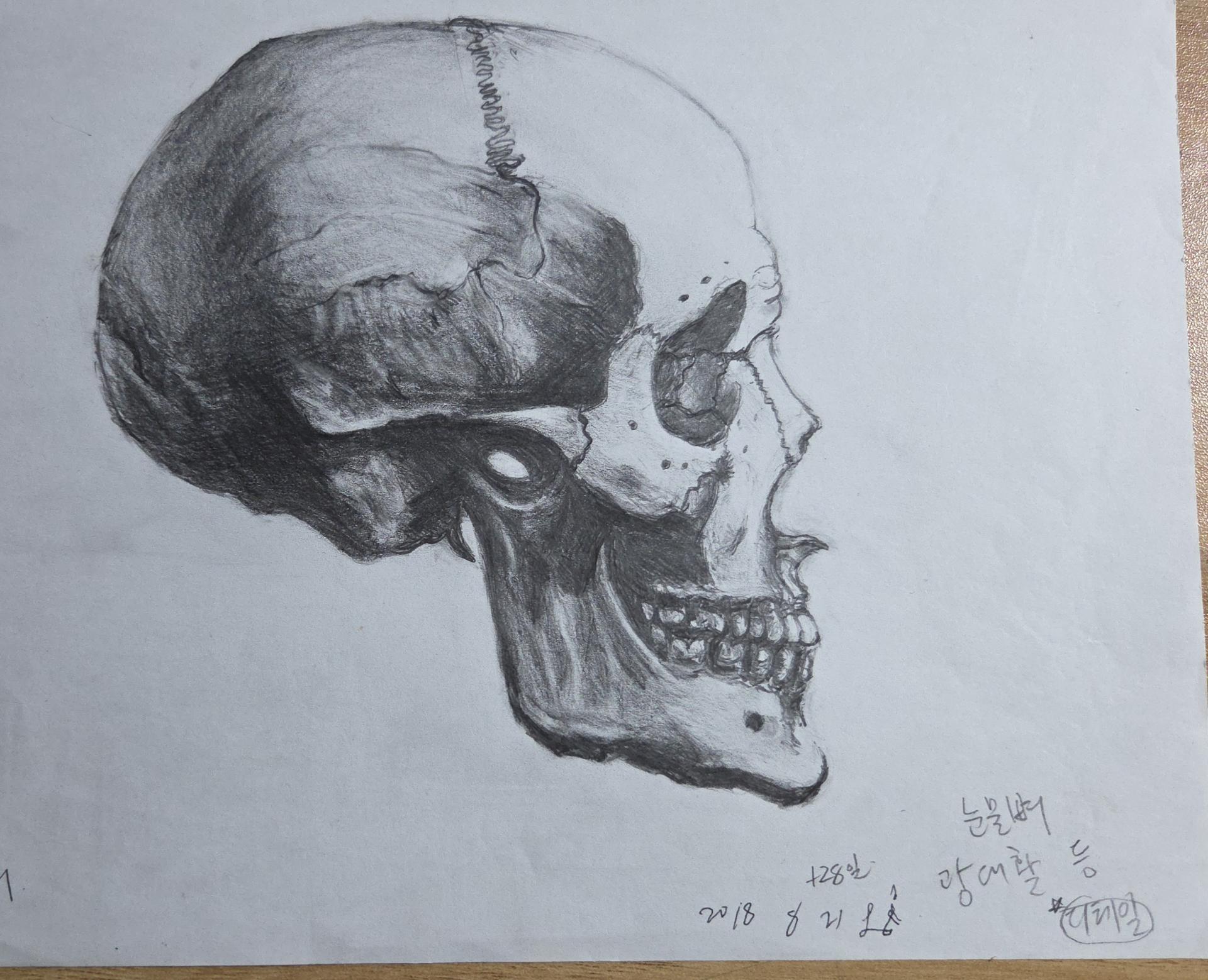 681c02f1d1e72.jpg