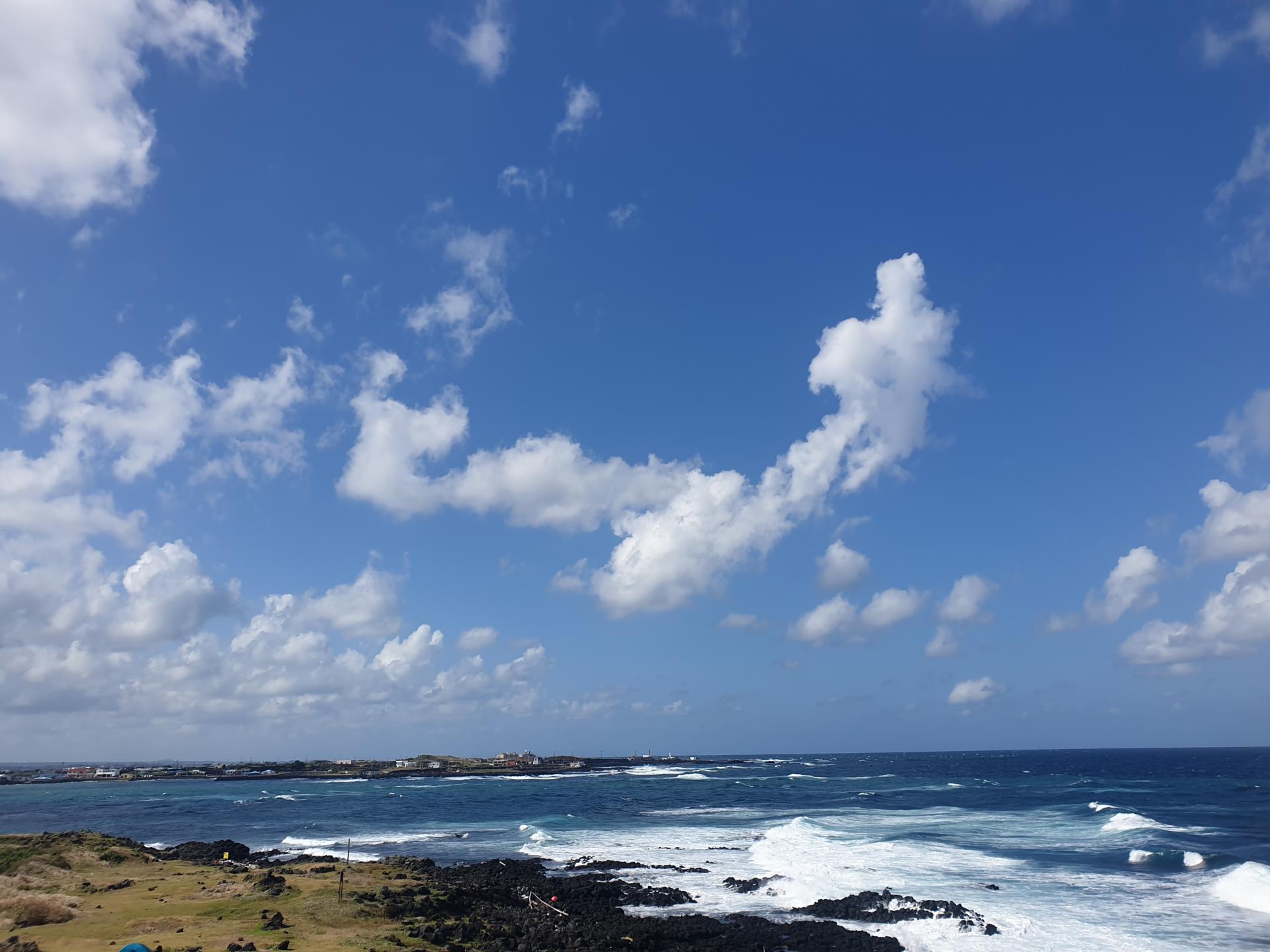 79f94d7d5151a.jpg