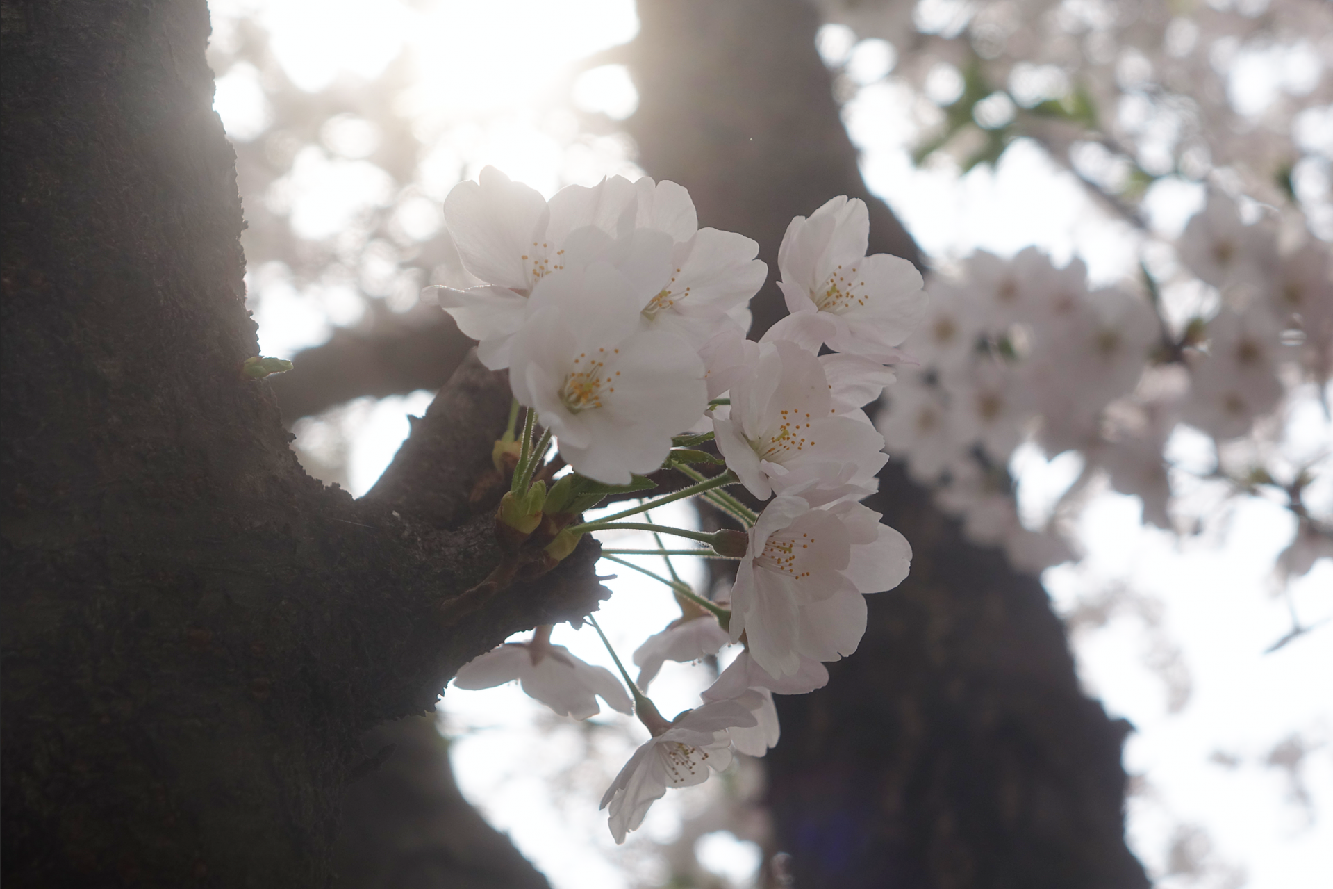 9462b30c0b655.png