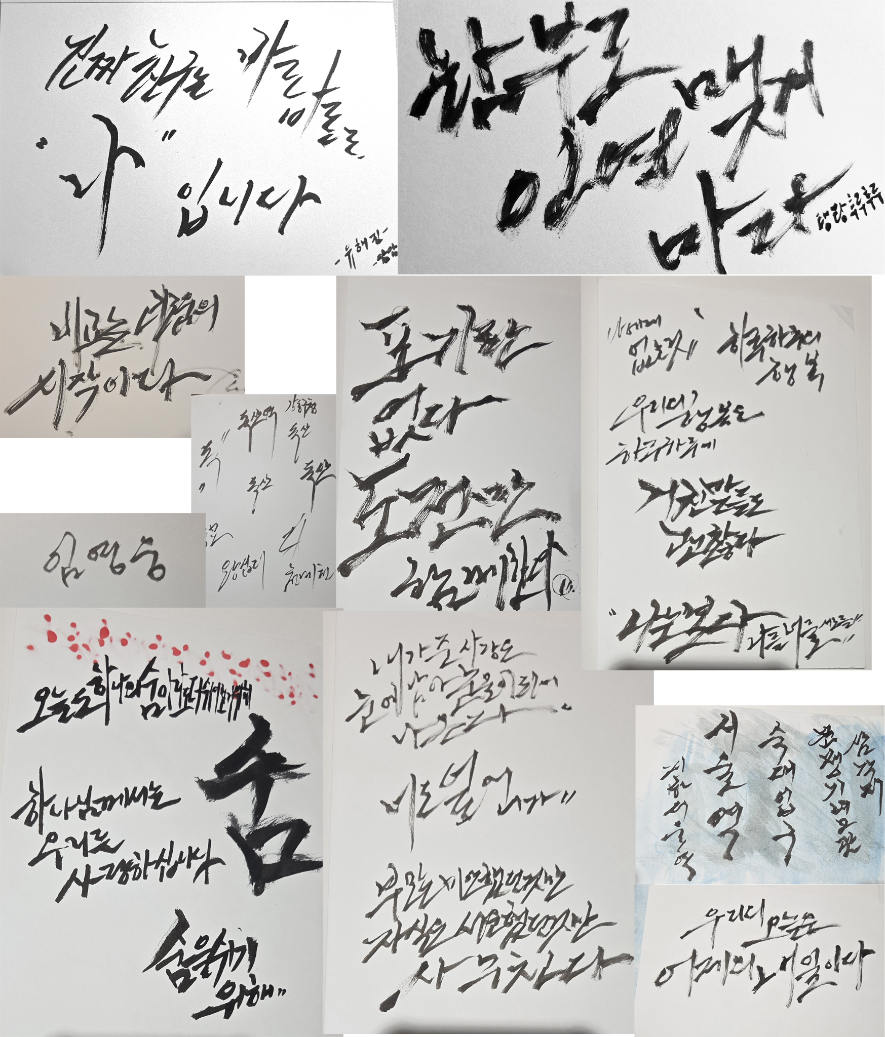 995364a162902.png