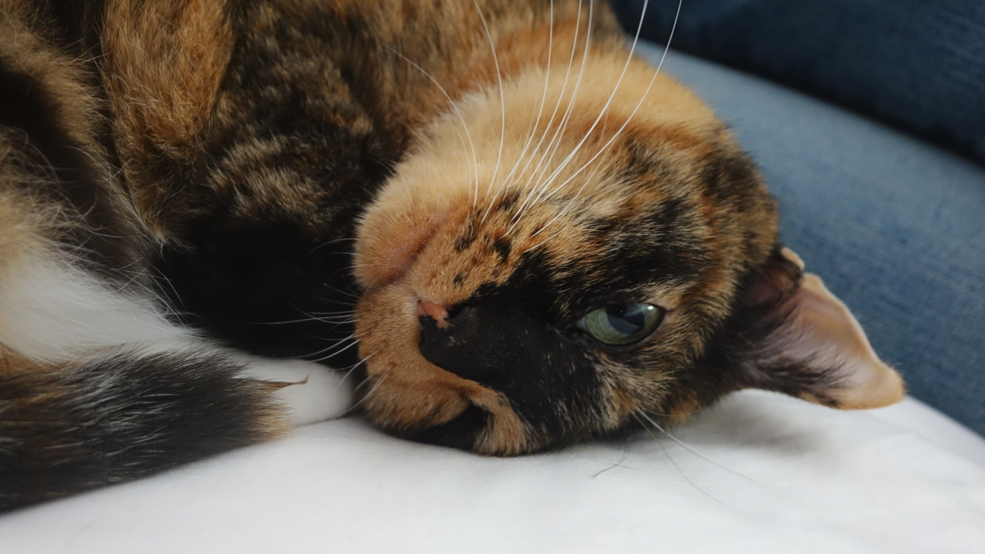 a56644f2ea89b.png