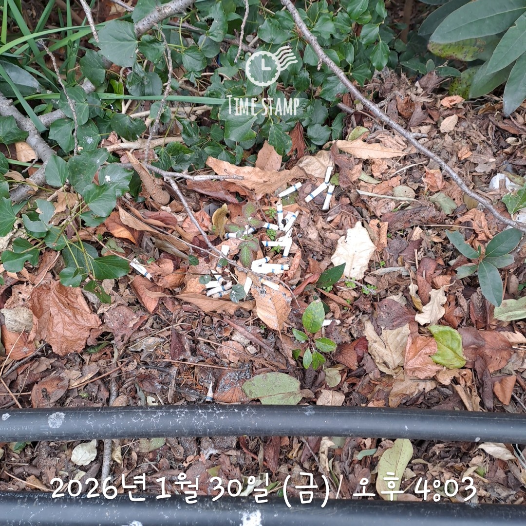 ad6ca65530053.jpg