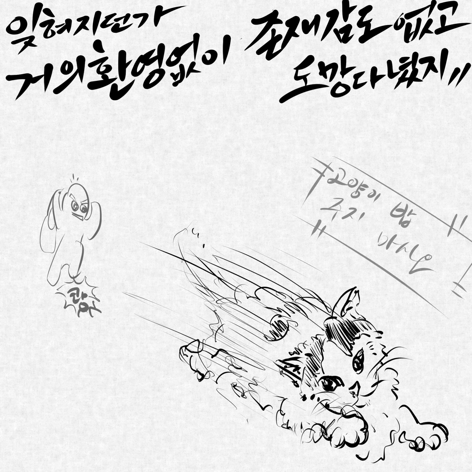 bcef36d509556.png