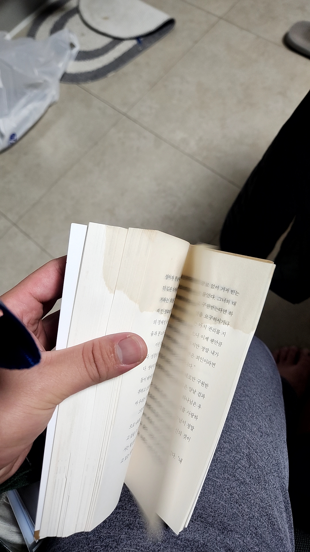 bd95b0f97215d.jpg