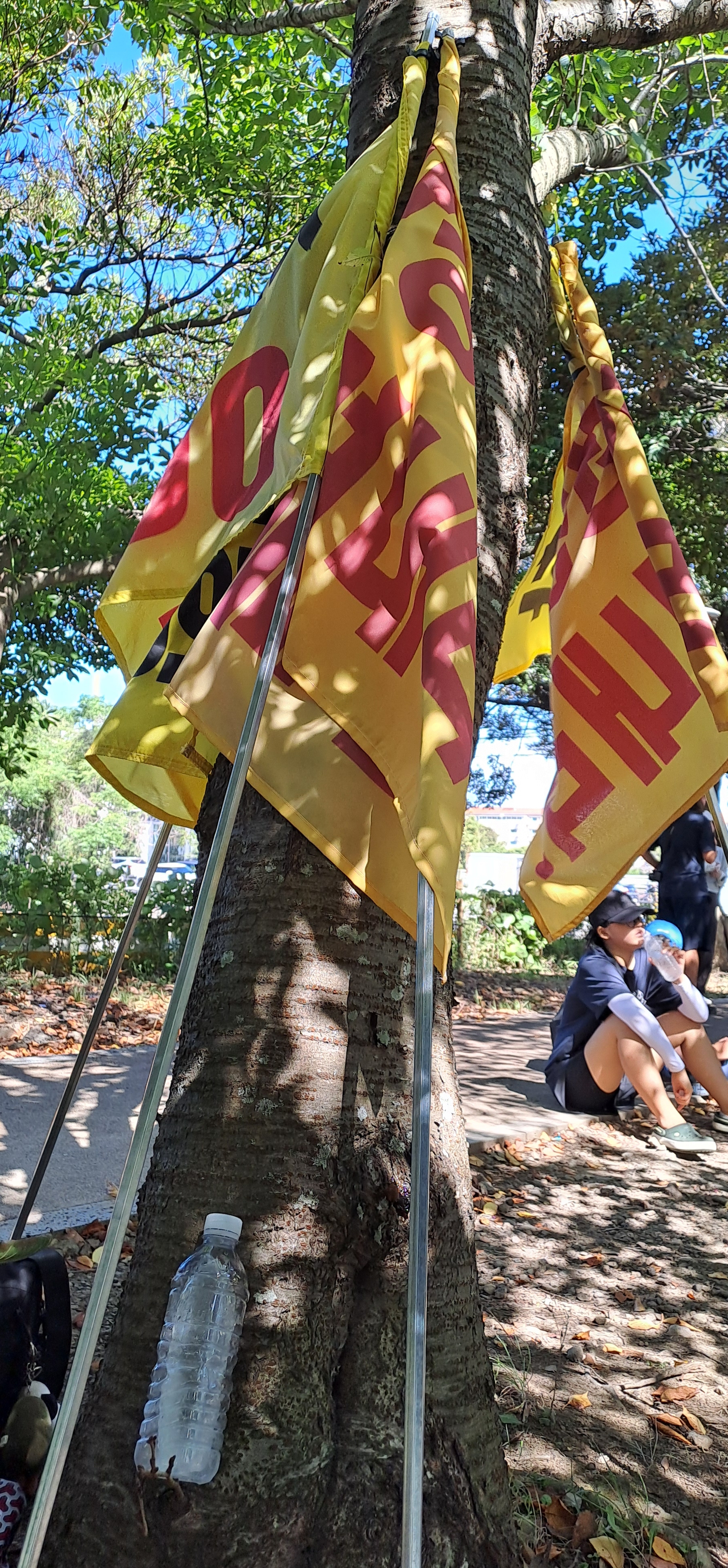 c09f9471a0408.jpg