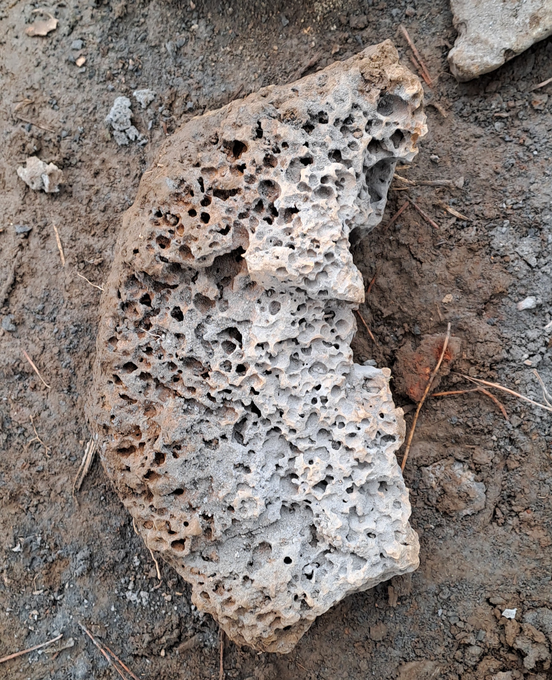 c160508bc7202.jpg