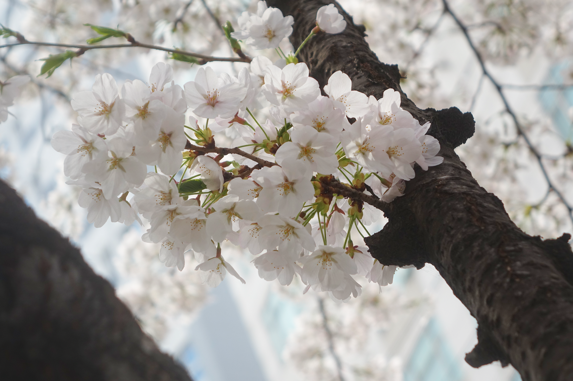 d313c2f491a59.png