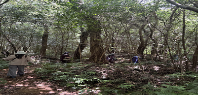 d419026090119.png
