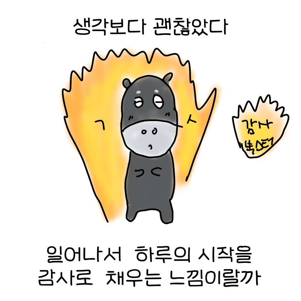 dfdd84353d24f.png