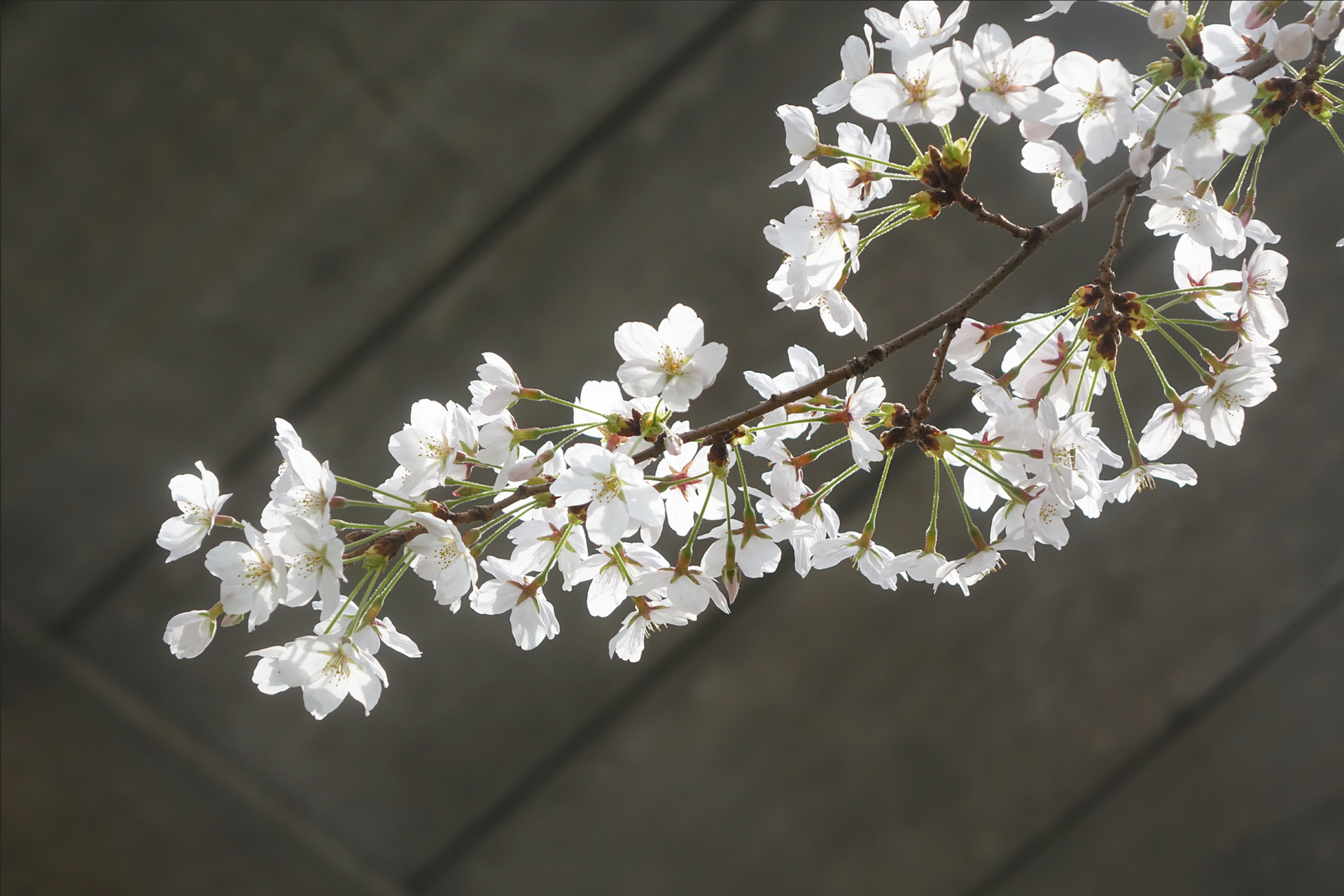 f1101ab7a457f.png