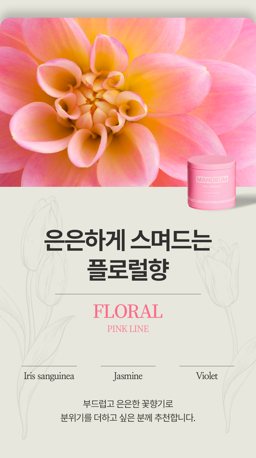 만듬 초강력 실내 고체 탈취제